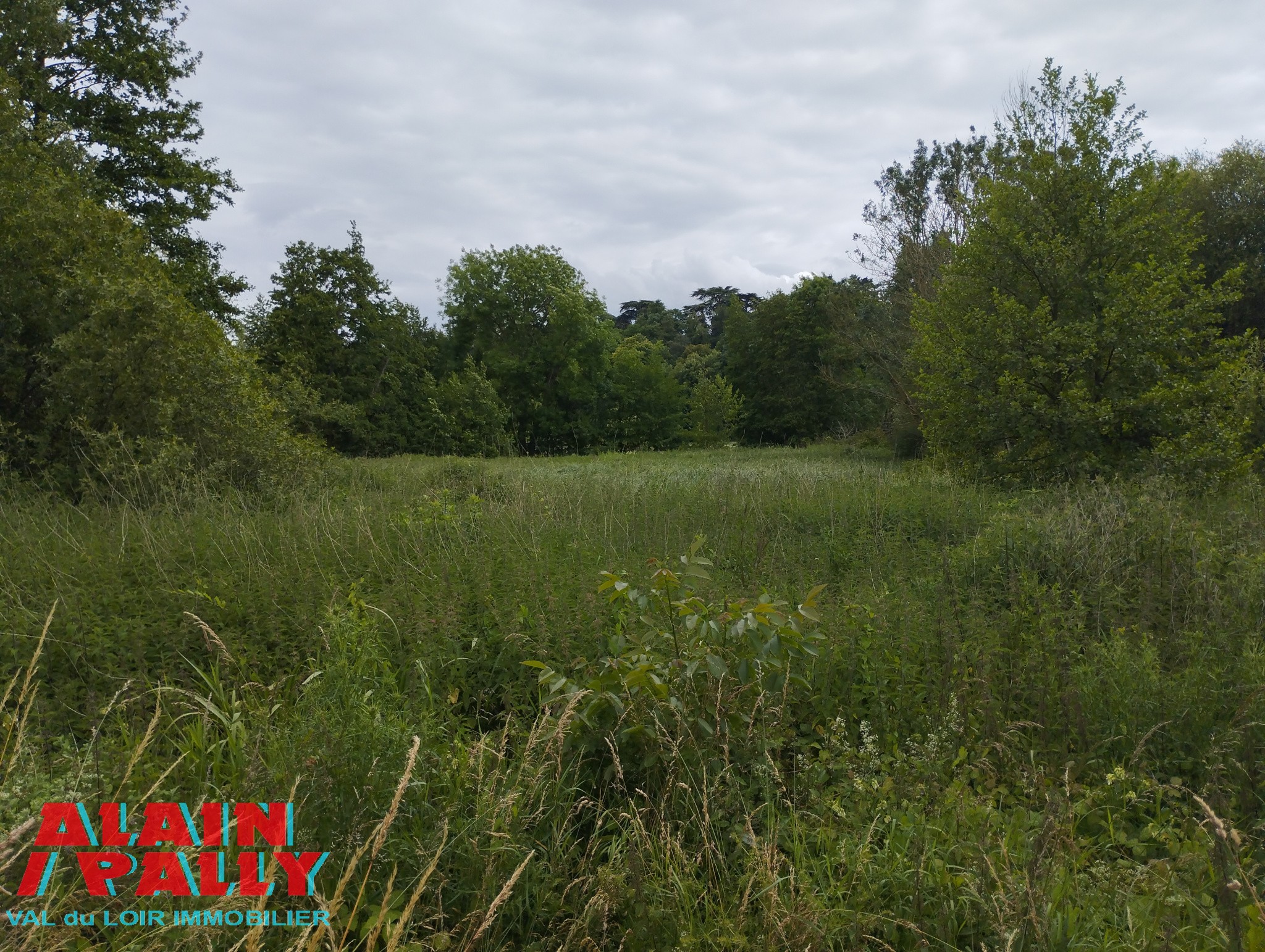 Vente Terrain à Châteaudun 0 pièce