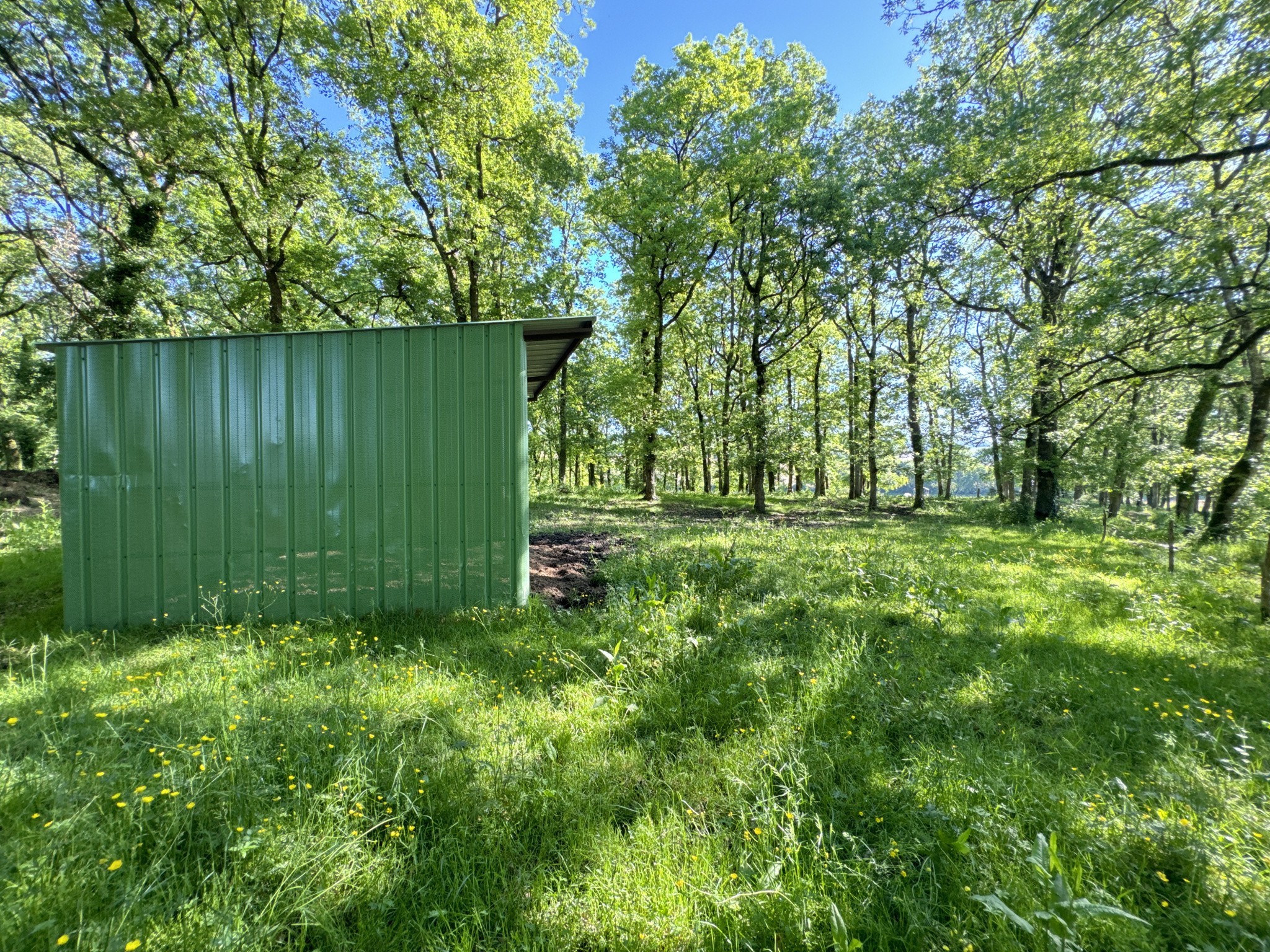 Vente Maison à Saint-Sylvestre-sur-Lot 9 pièces