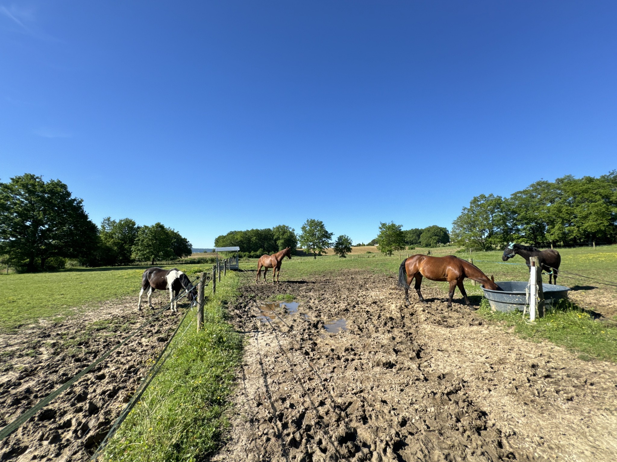 Vente Maison à Saint-Sylvestre-sur-Lot 9 pièces