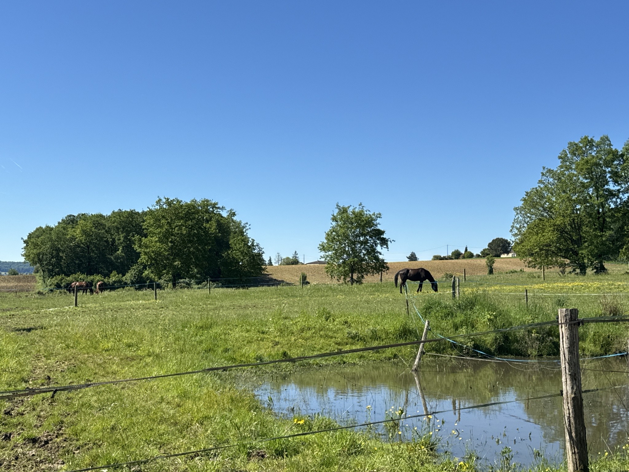 Vente Maison à Saint-Sylvestre-sur-Lot 9 pièces