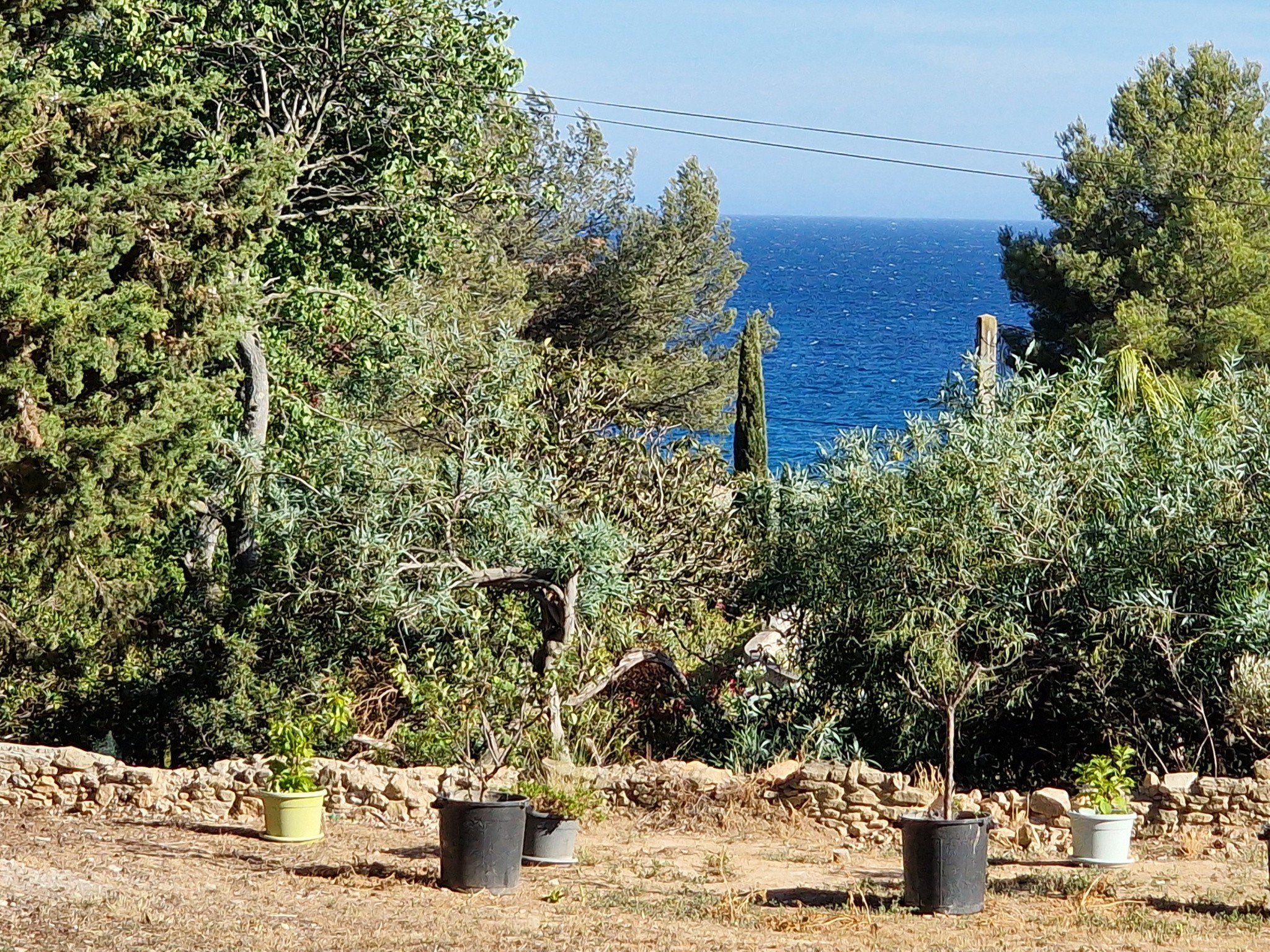 Vente Terrain à la Ciotat 0 pièce