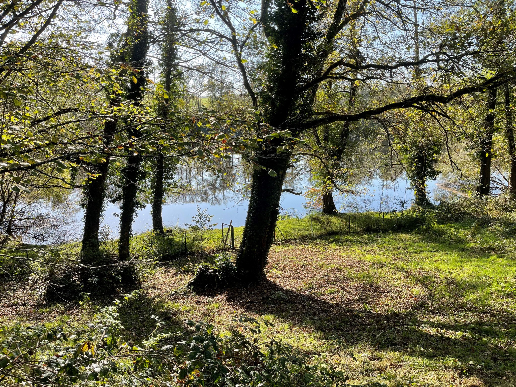 Vente Maison à le Palais-sur-Vienne 6 pièces