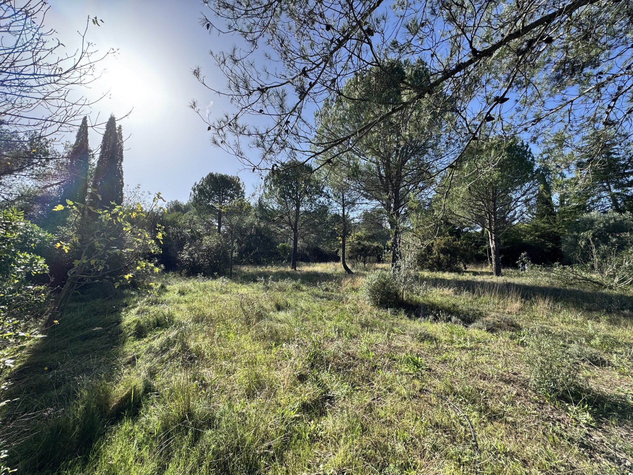 Vente Terrain à Montferrier-sur-Lez 0 pièce