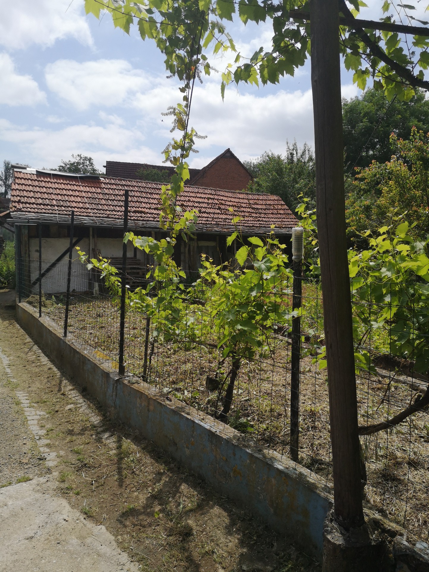 Vente Maison à Drachenbronn-Birlenbach 5 pièces