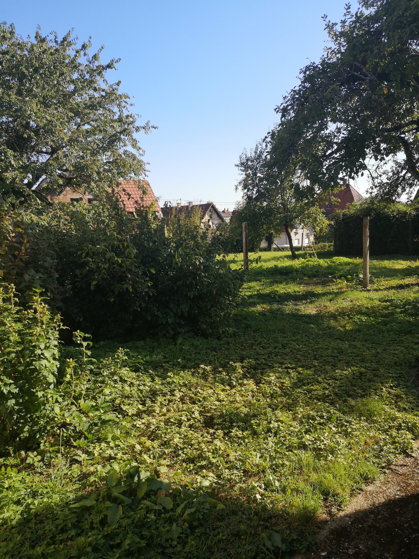 Vente Terrain à Surbourg 0 pièce