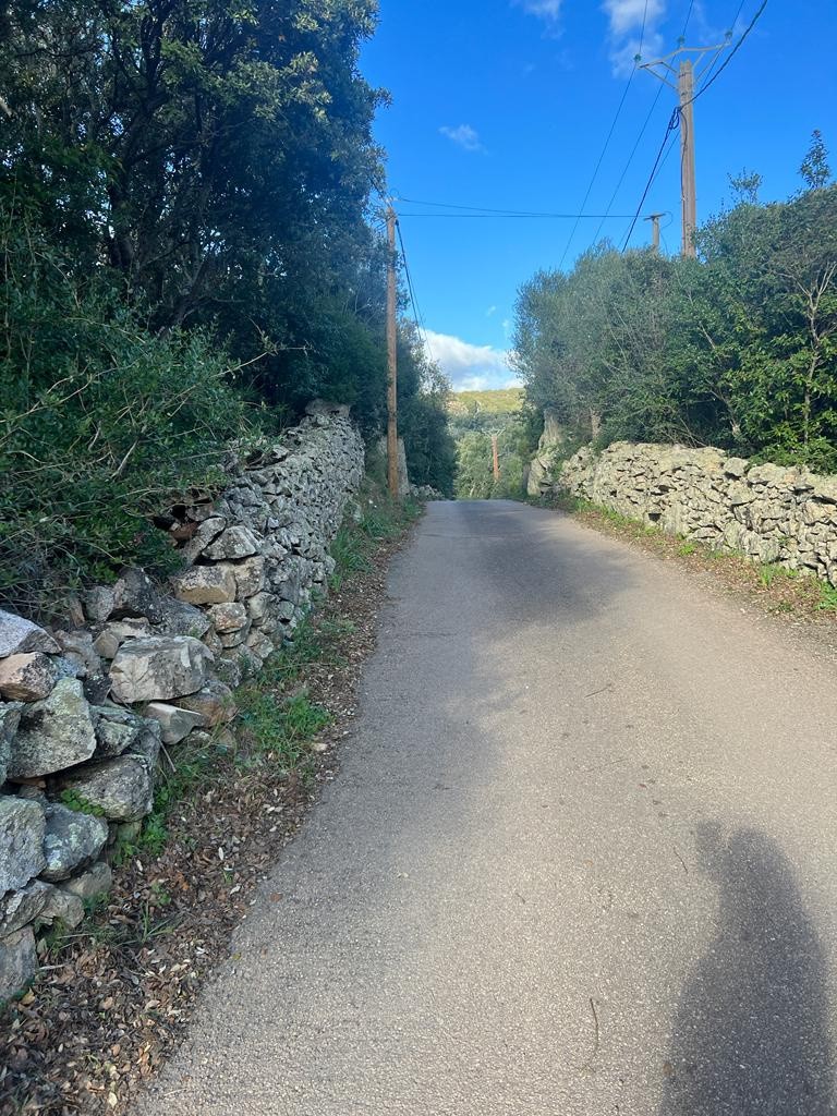 Vente Terrain à Porto-Vecchio 0 pièce