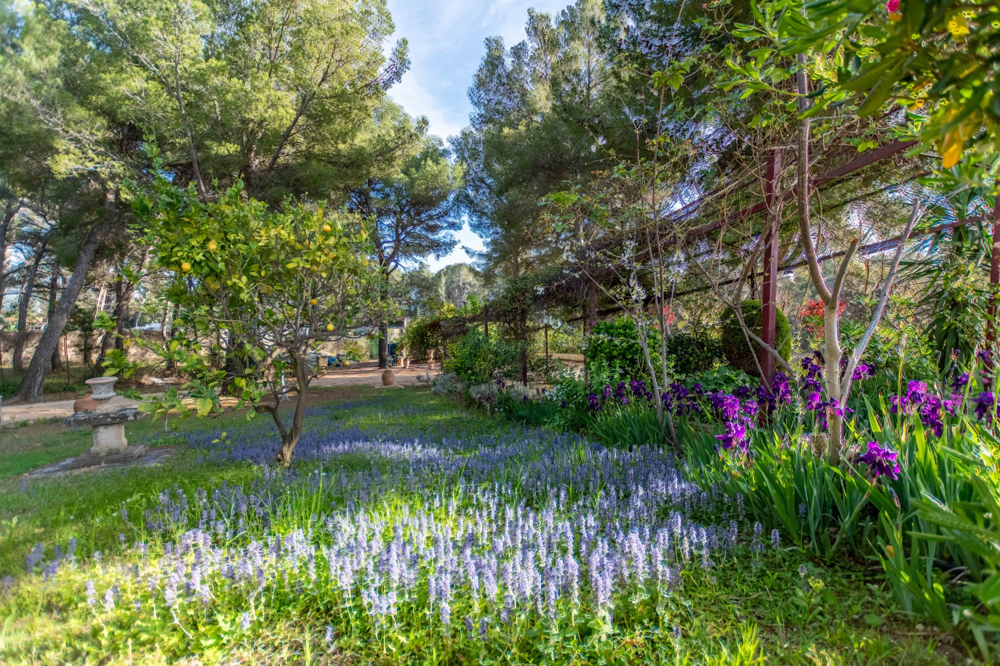 Vente Maison à la Ciotat 8 pièces