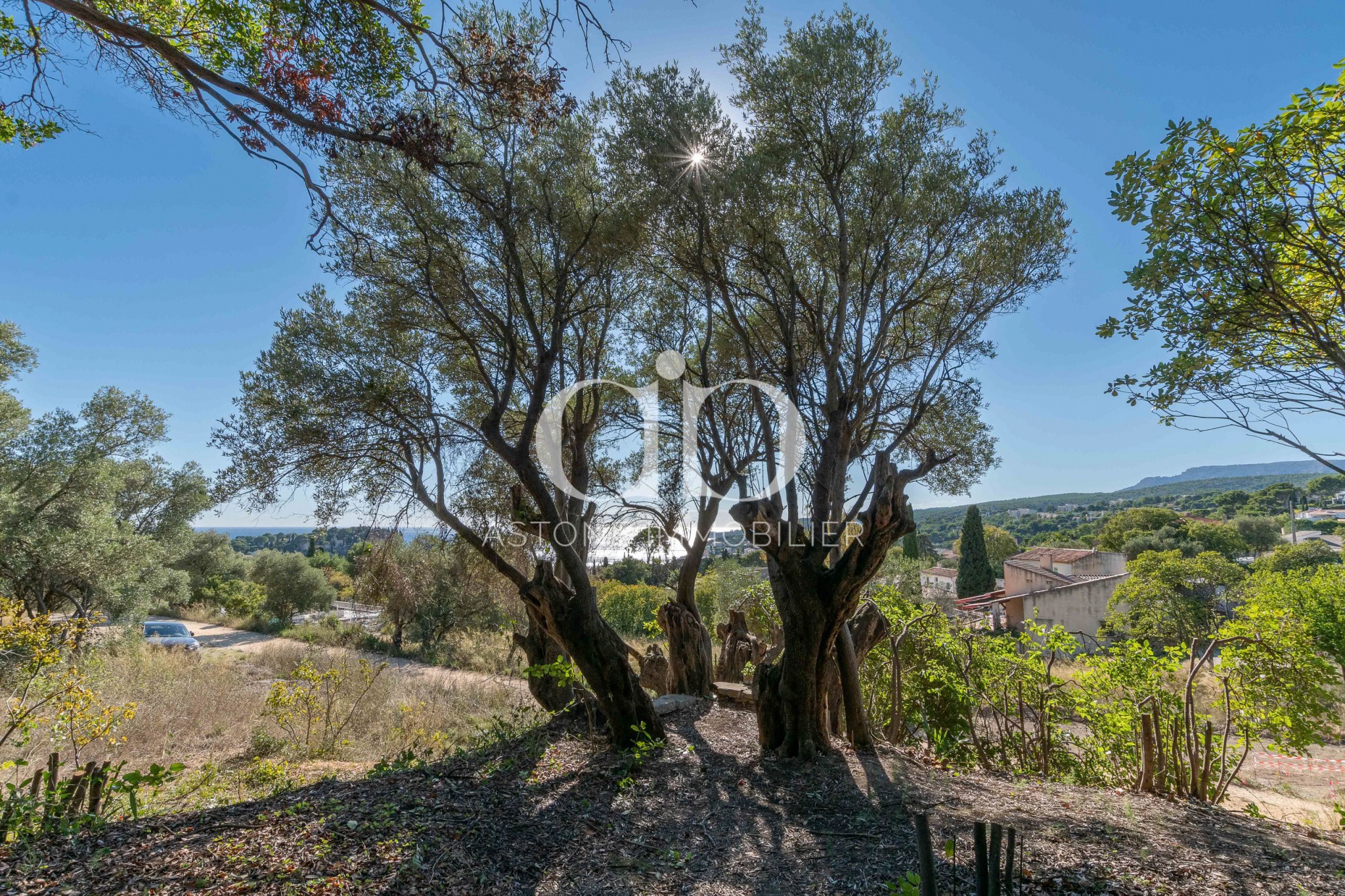 Vente Maison à Cassis 12 pièces