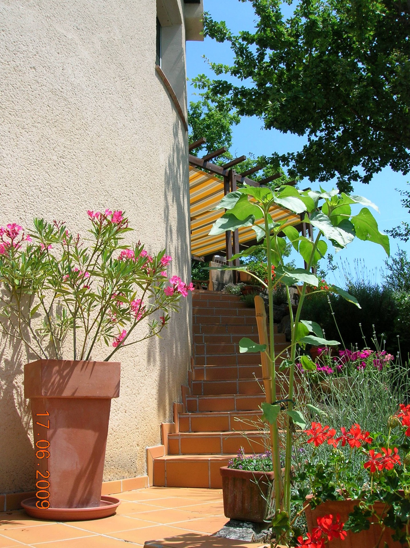 Vente Maison à Puy-l'Évêque 5 pièces