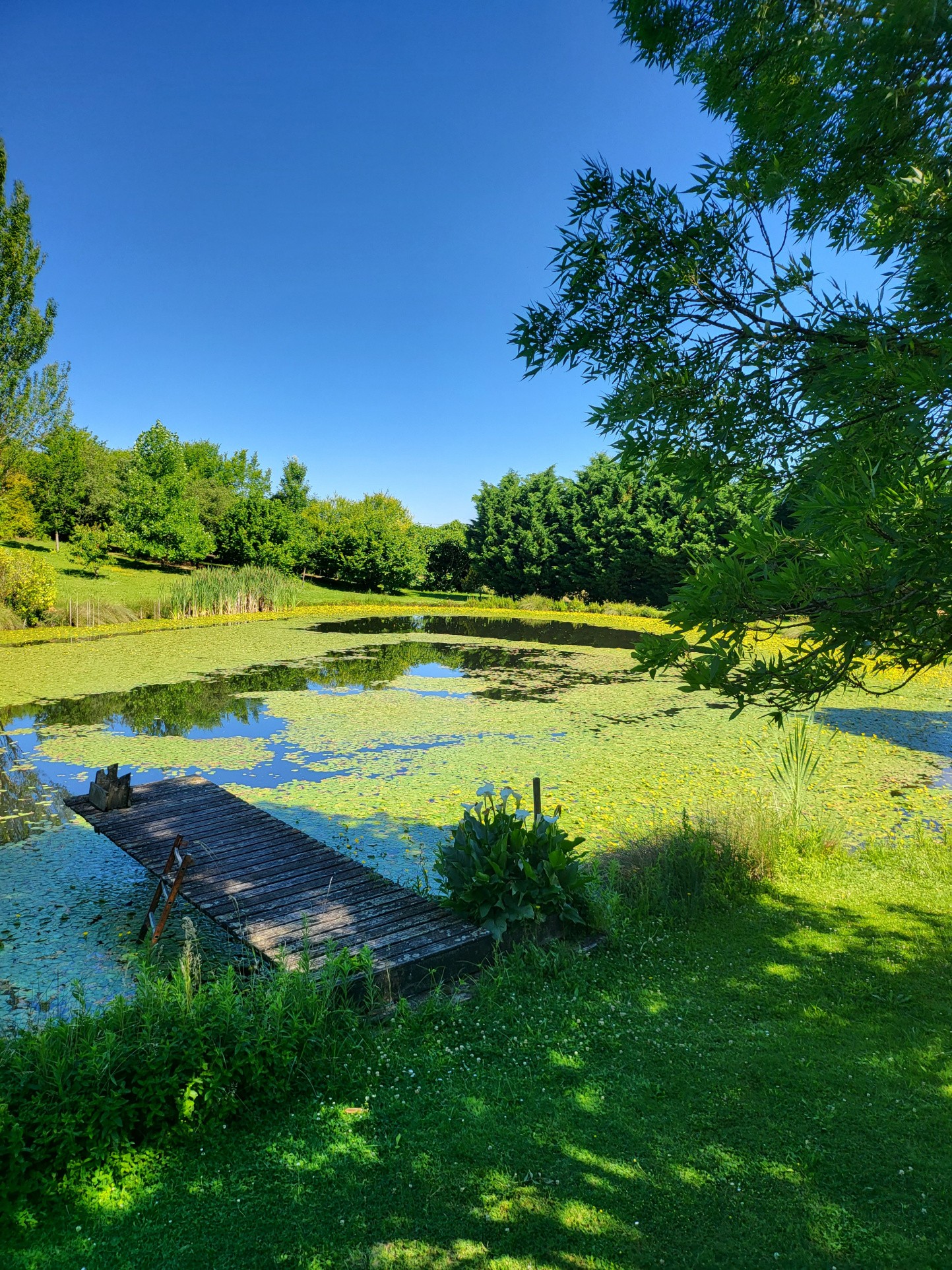 Vente Maison à Monflanquin 6 pièces