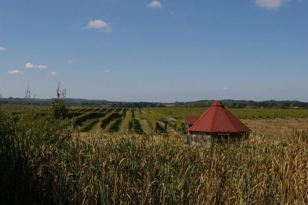 Vente Maison à Bergerac 19 pièces