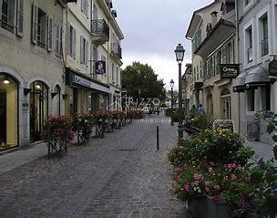 Vente Bureau / Commerce à Ferney-Voltaire 0 pièce