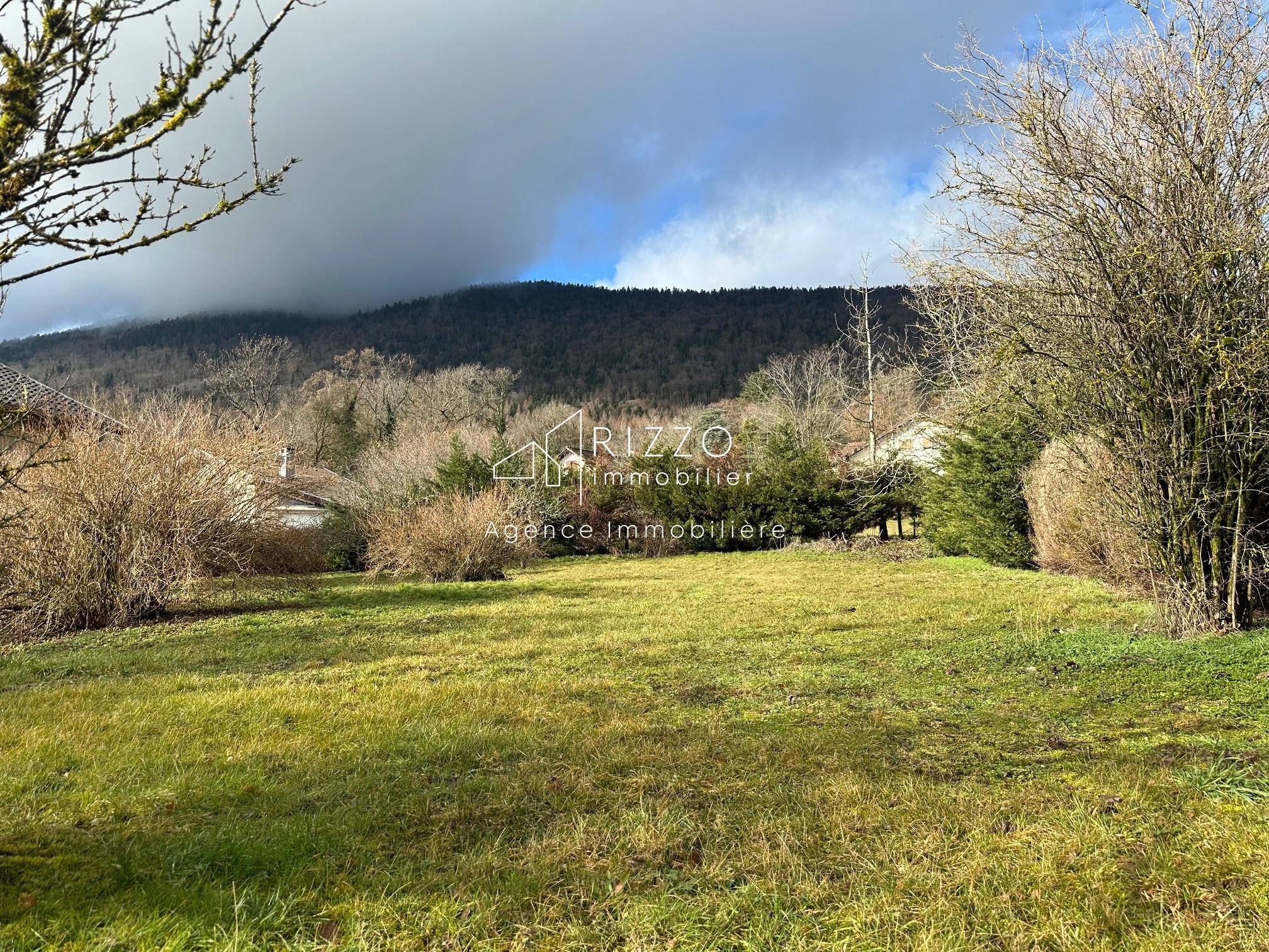 Vente Terrain à Gex 0 pièce