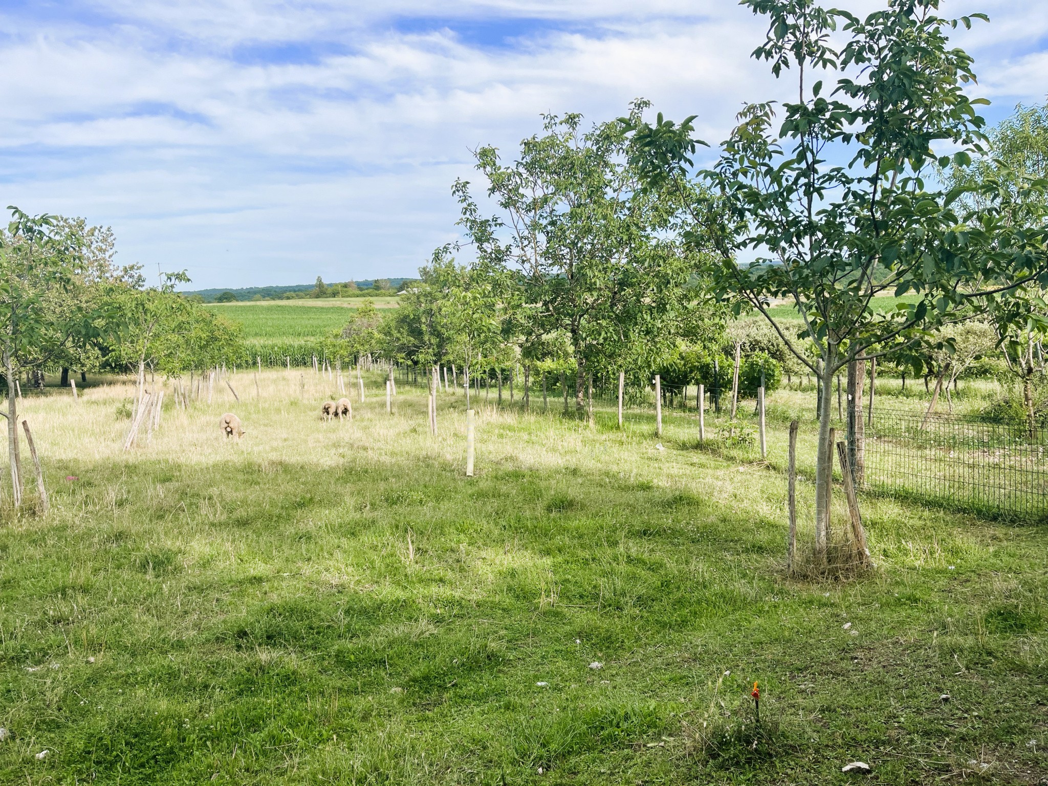 Vente Maison à Léguillac-de-Cercles 9 pièces