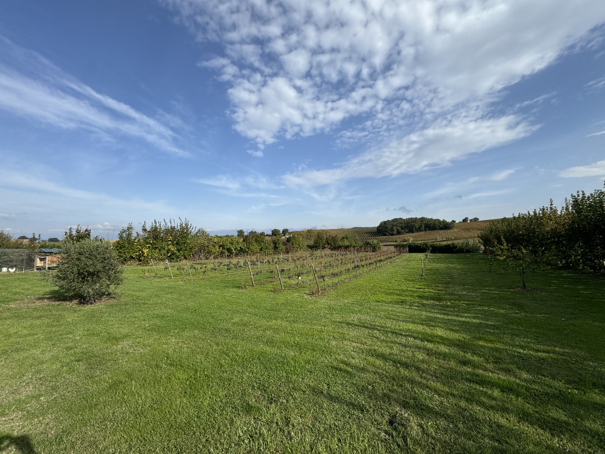 Vente Maison à Belvèze-du-Razès 5 pièces