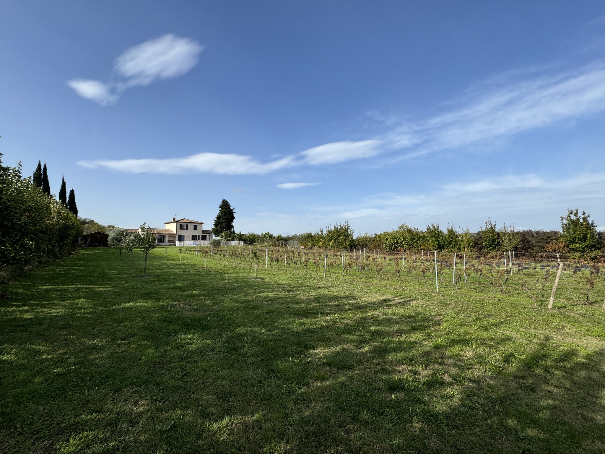 Vente Maison à Belvèze-du-Razès 5 pièces