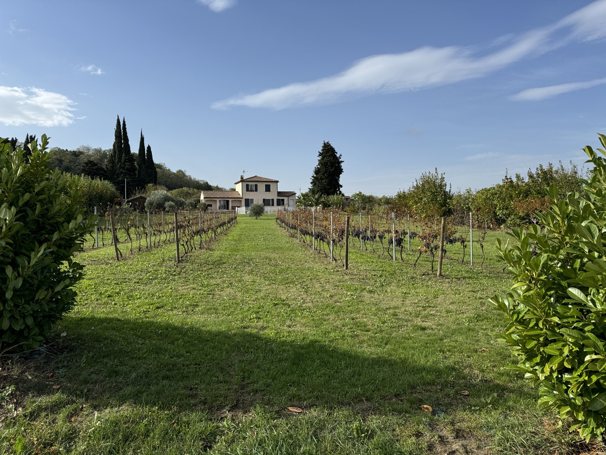 Vente Maison à Belvèze-du-Razès 5 pièces