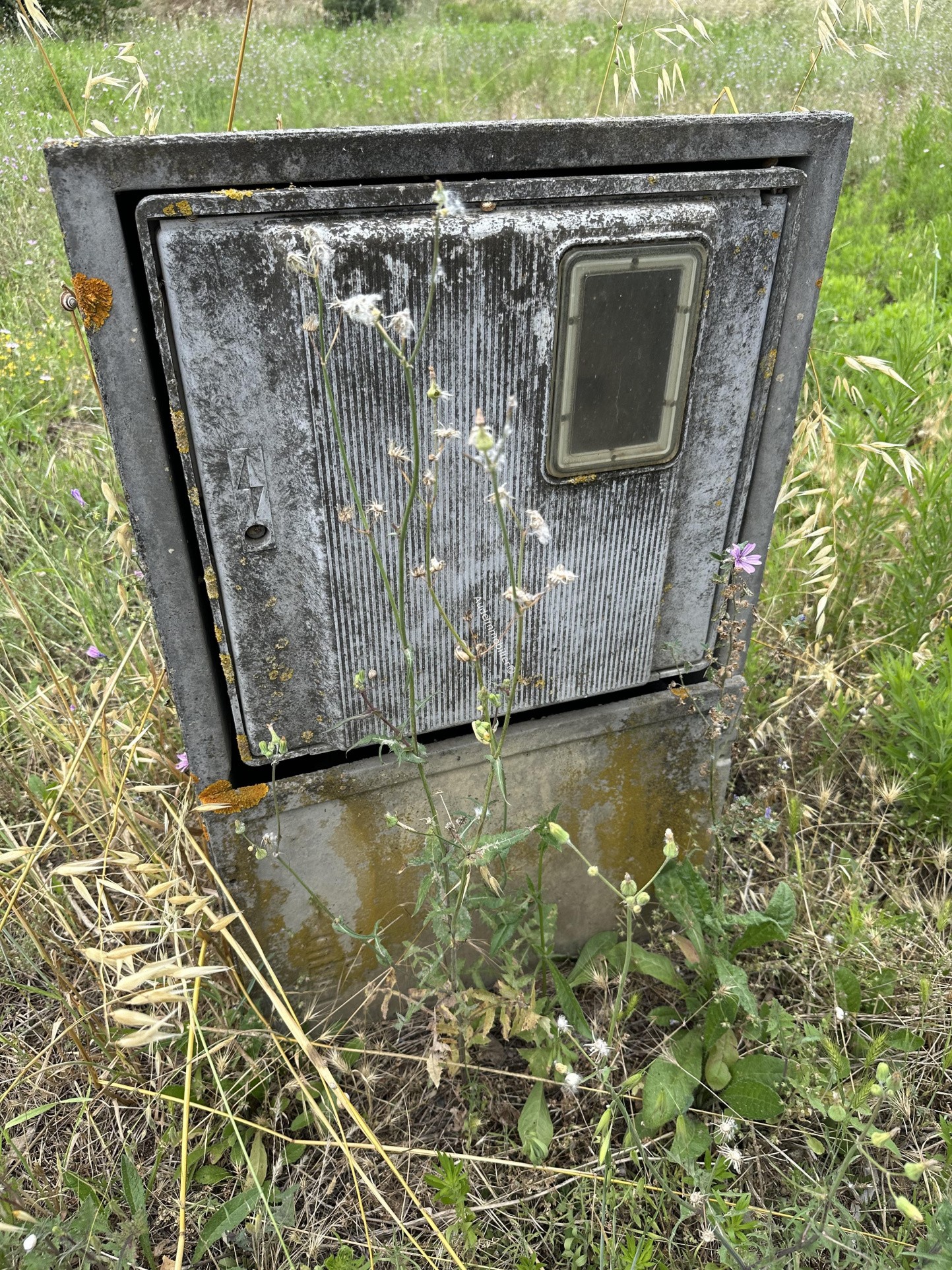 Vente Terrain à Limoux 0 pièce