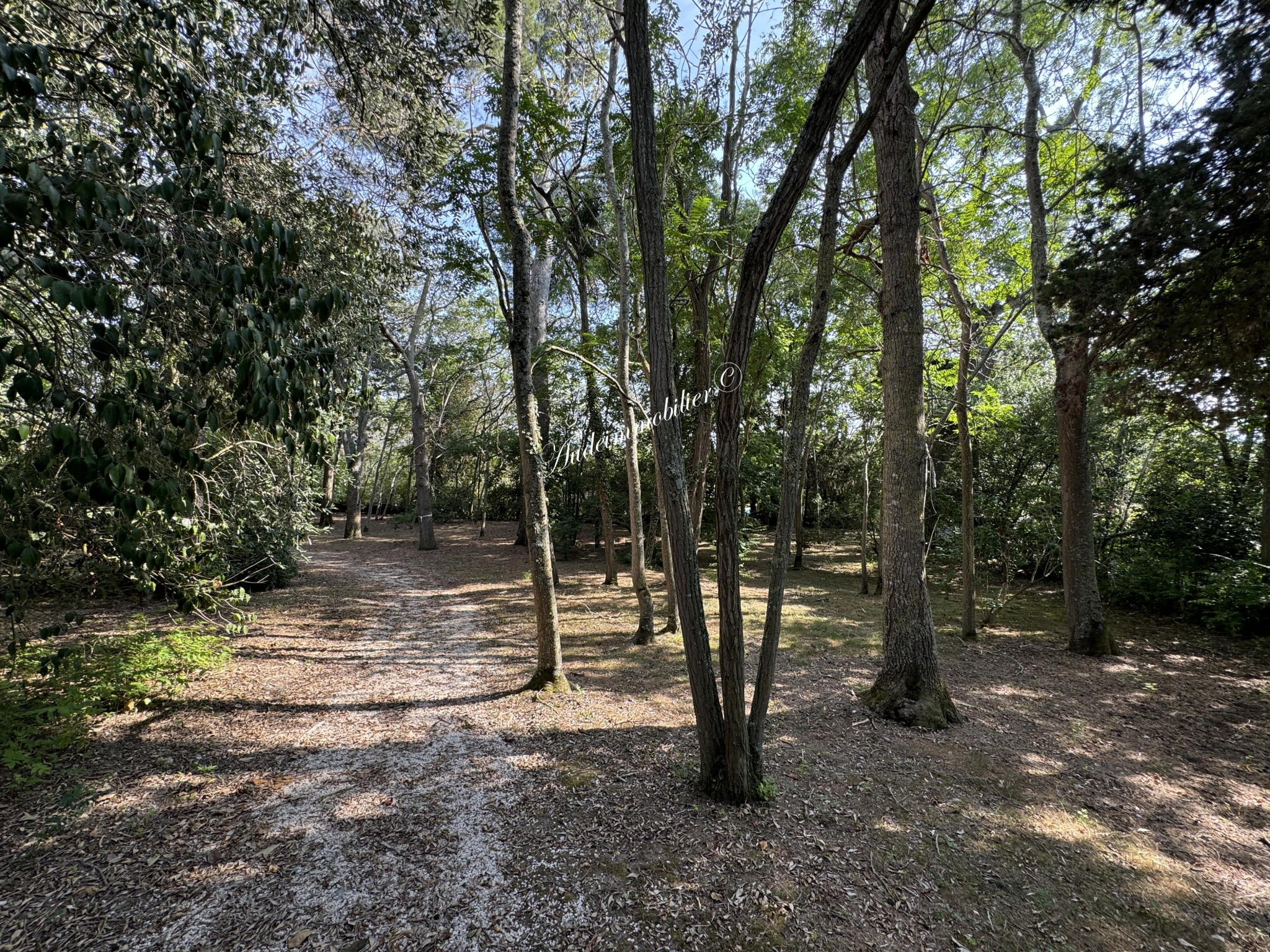 Vente Maison à Belvèze-du-Razès 8 pièces