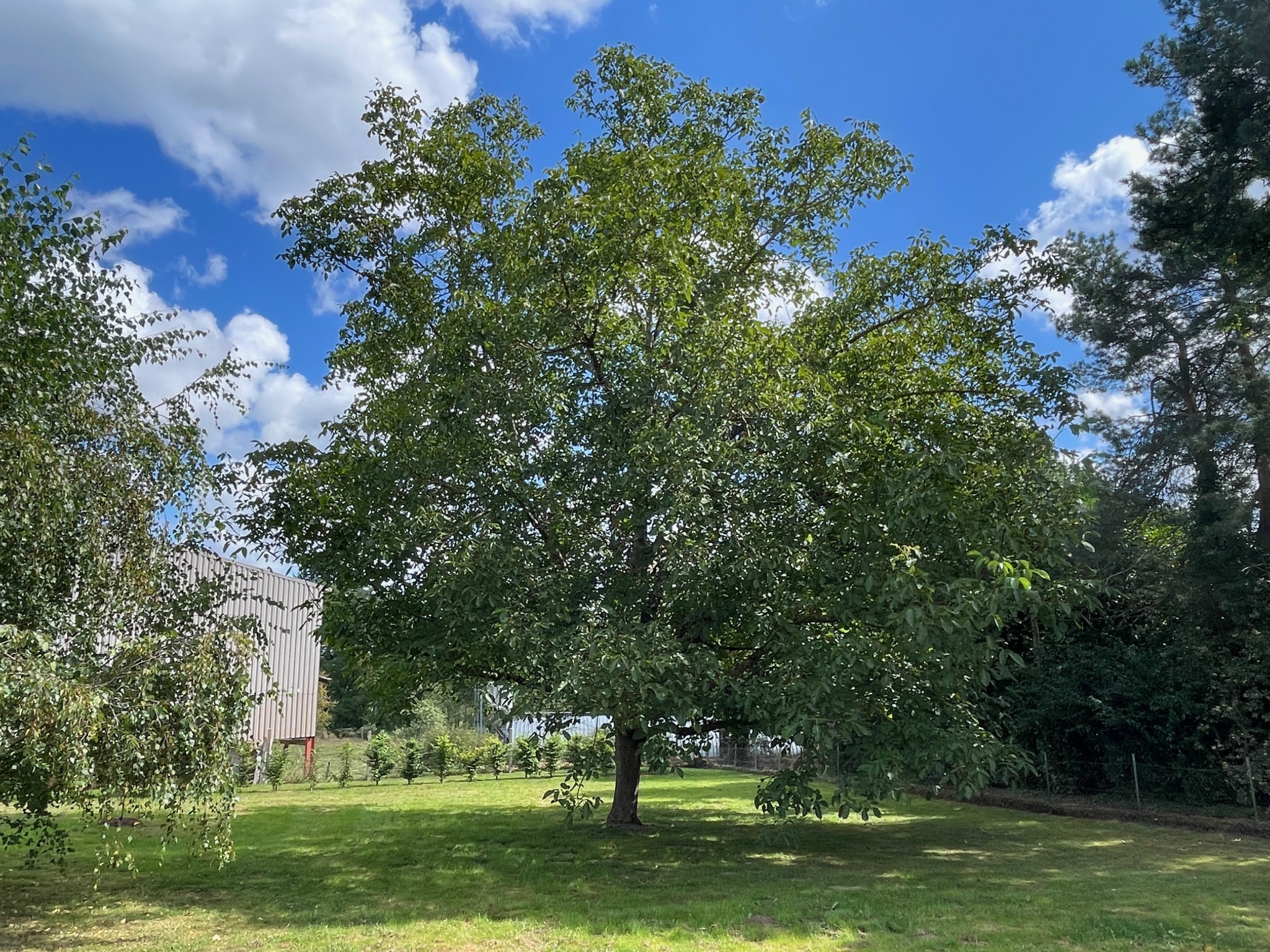 Vente Maison à Saint-Marcel-en-Marcillat 5 pièces