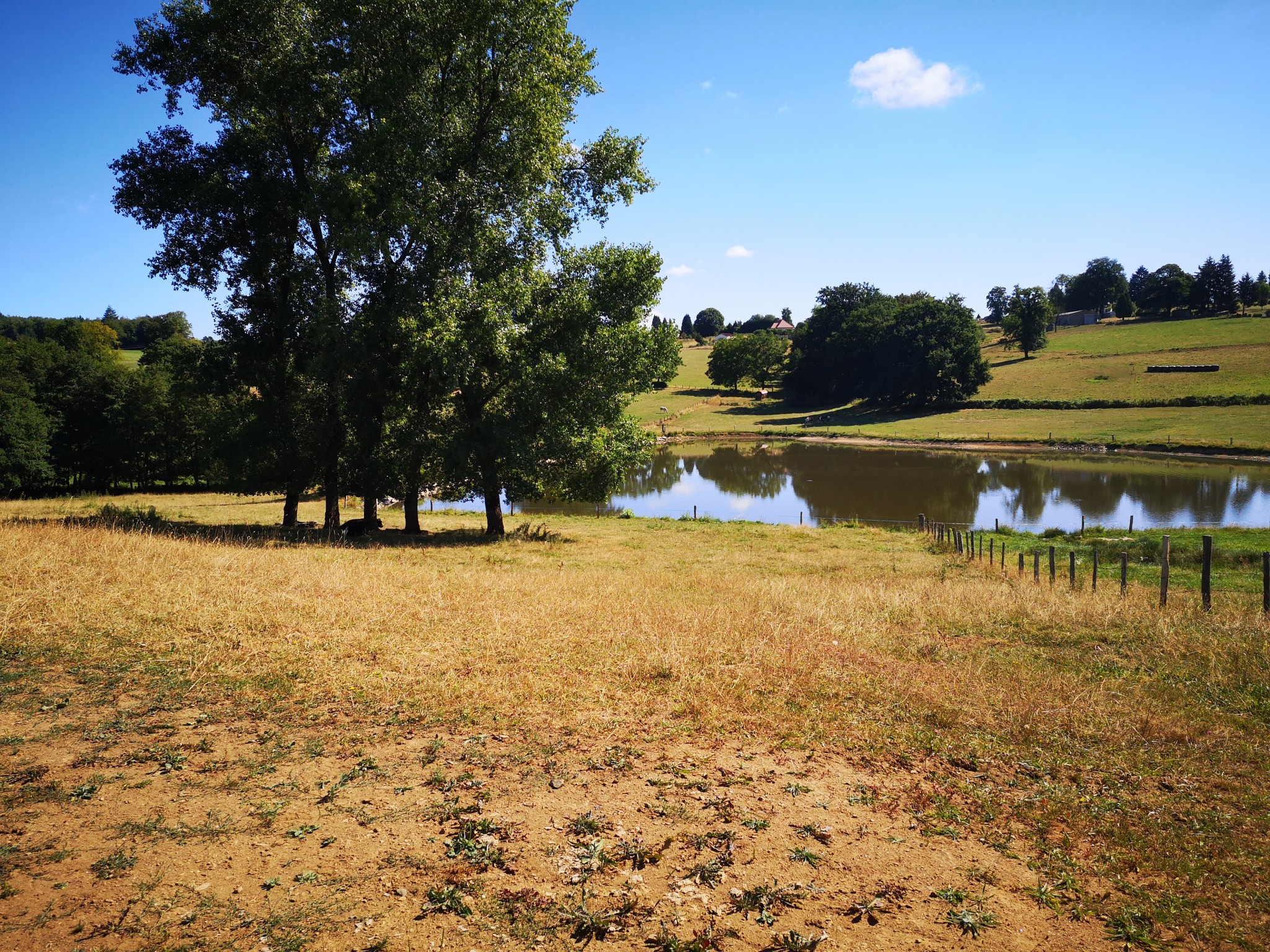 Vente Terrain à Seilhac 0 pièce