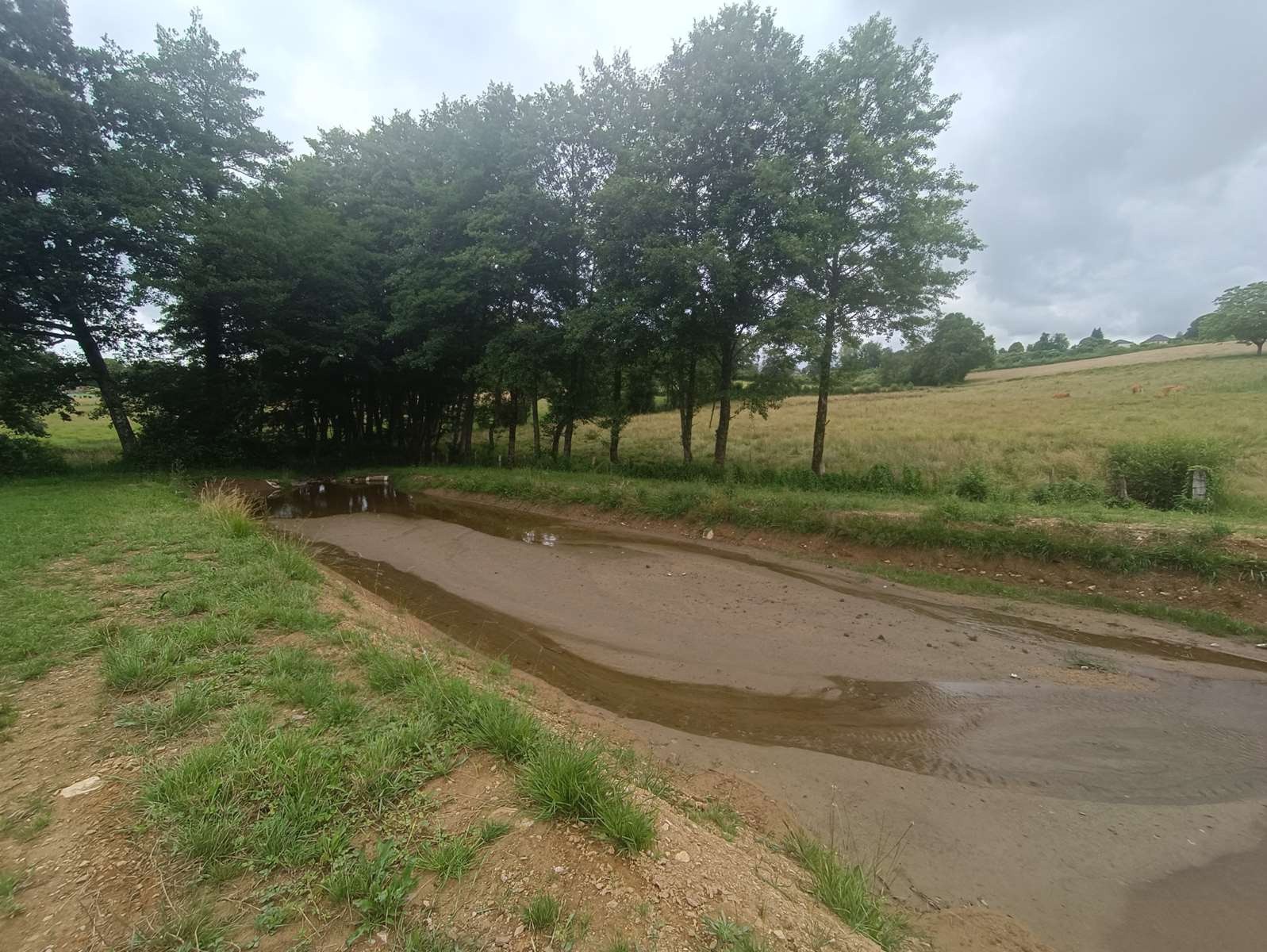 Vente Terrain à Seilhac 0 pièce