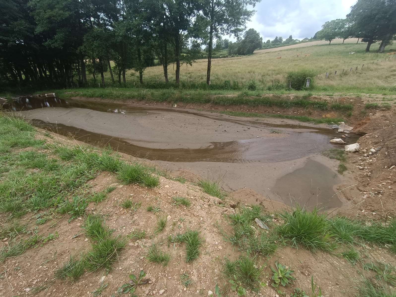 Vente Terrain à Seilhac 0 pièce