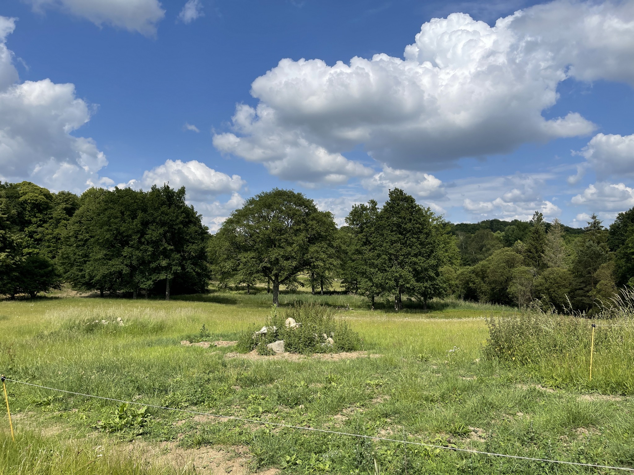 Vente Maison à Saint-Maurice-la-Souterraine 5 pièces