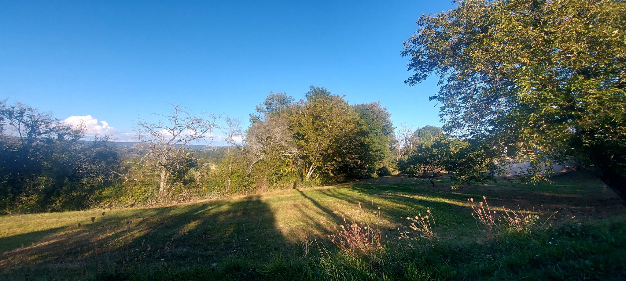 Vente Maison à Saint-Robert 4 pièces