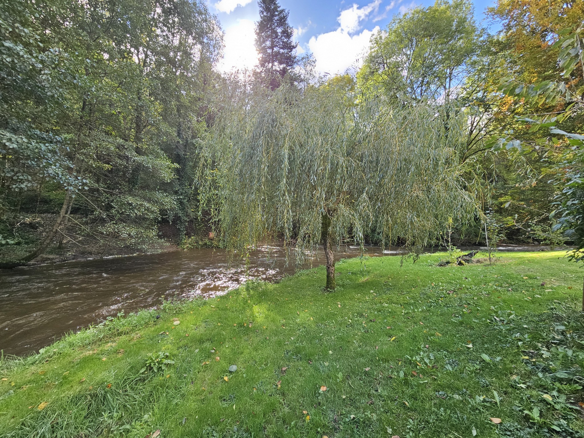 Vente Maison à Pierre-Buffière 10 pièces