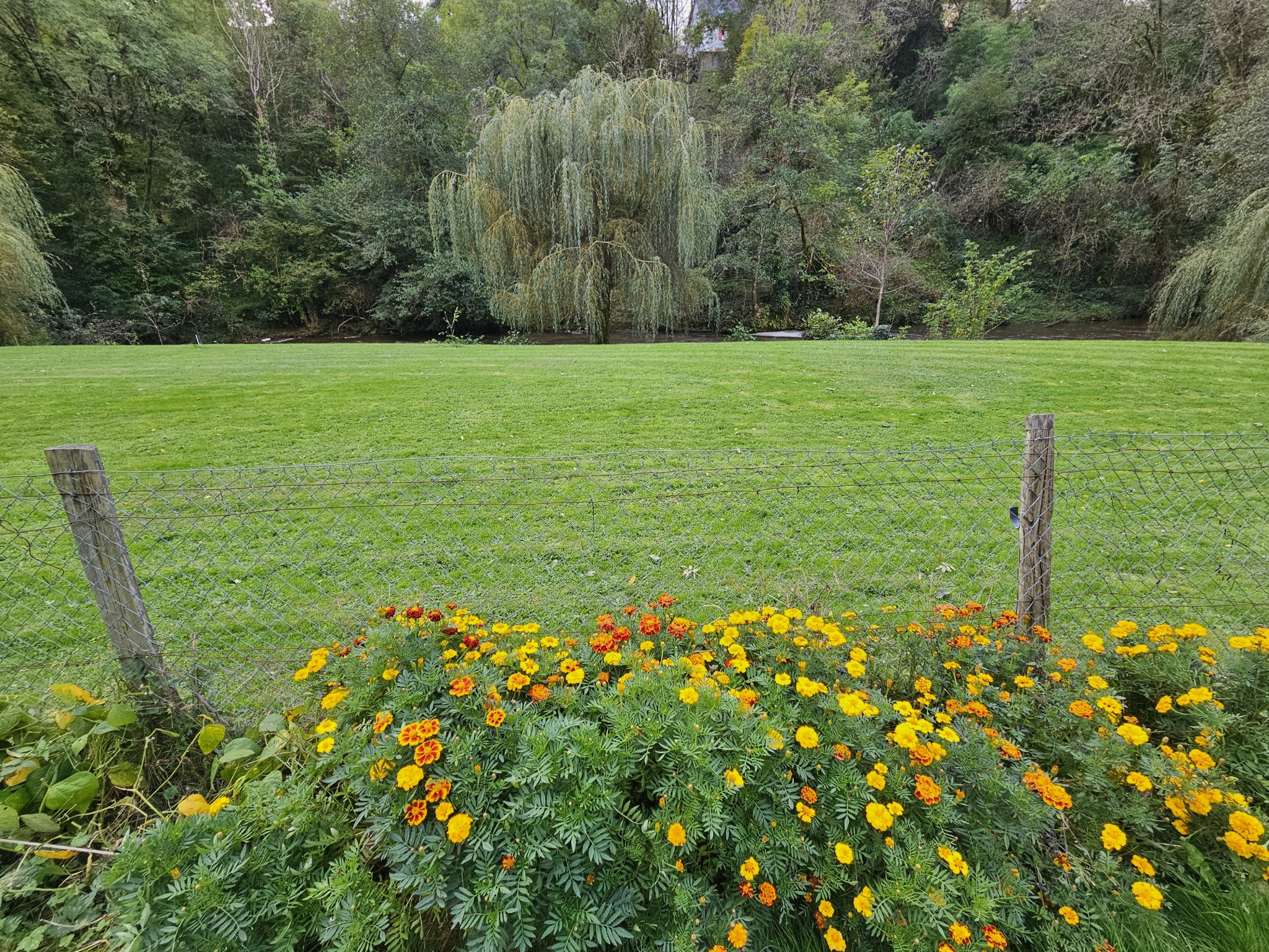 Vente Maison à Pierre-Buffière 10 pièces