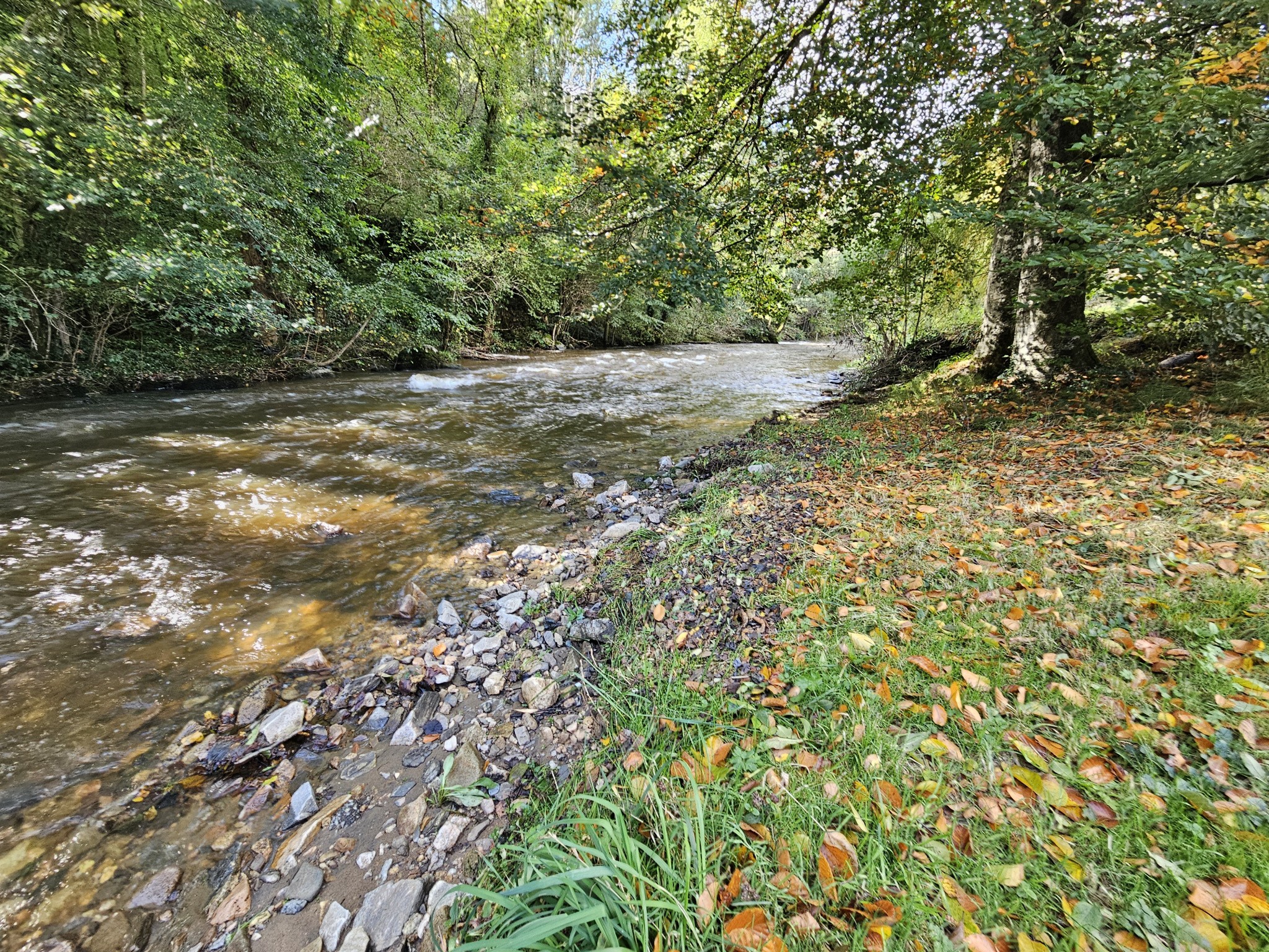 Vente Maison à Pierre-Buffière 10 pièces