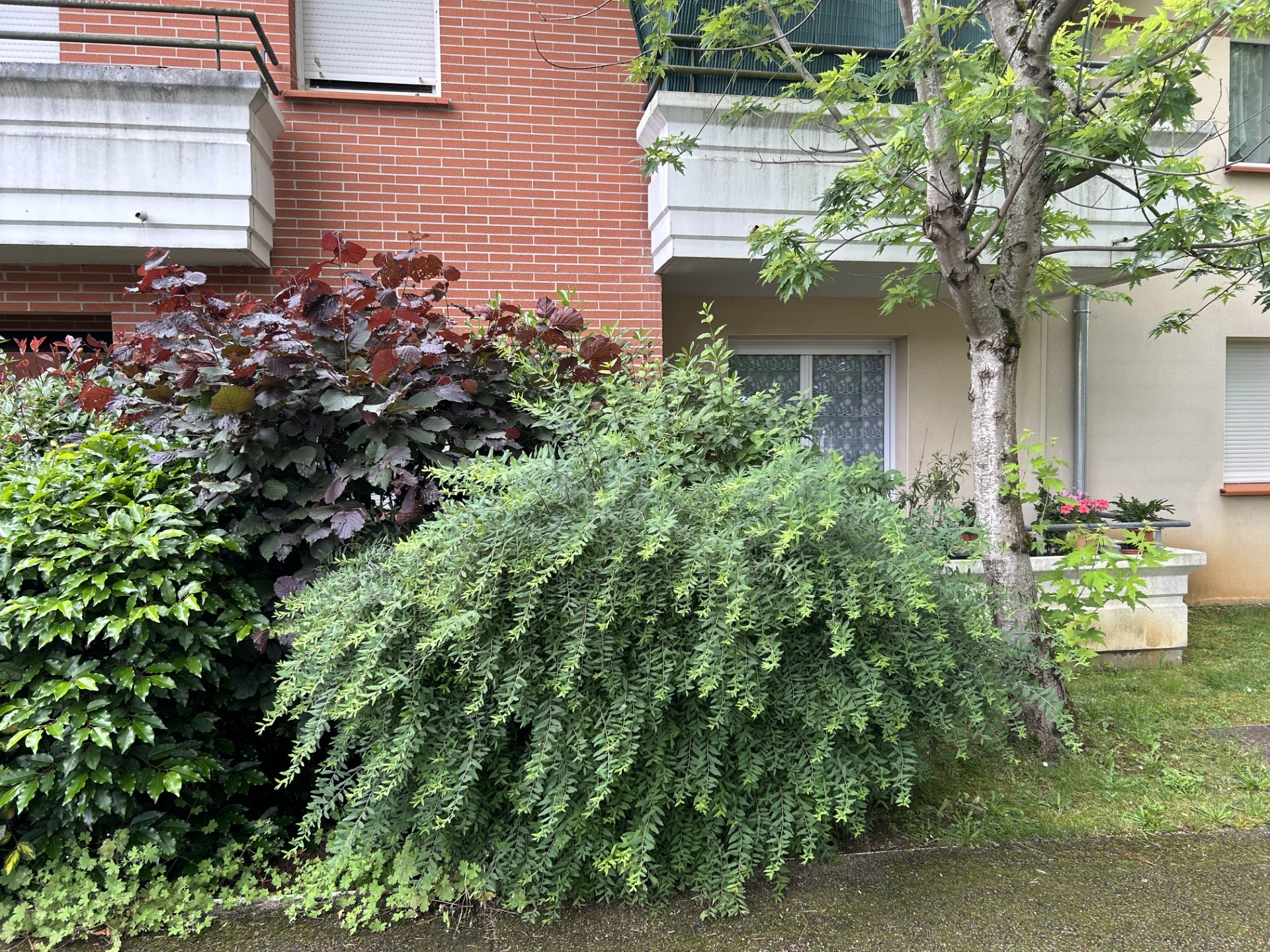 Vente Appartement à Caussade 2 pièces