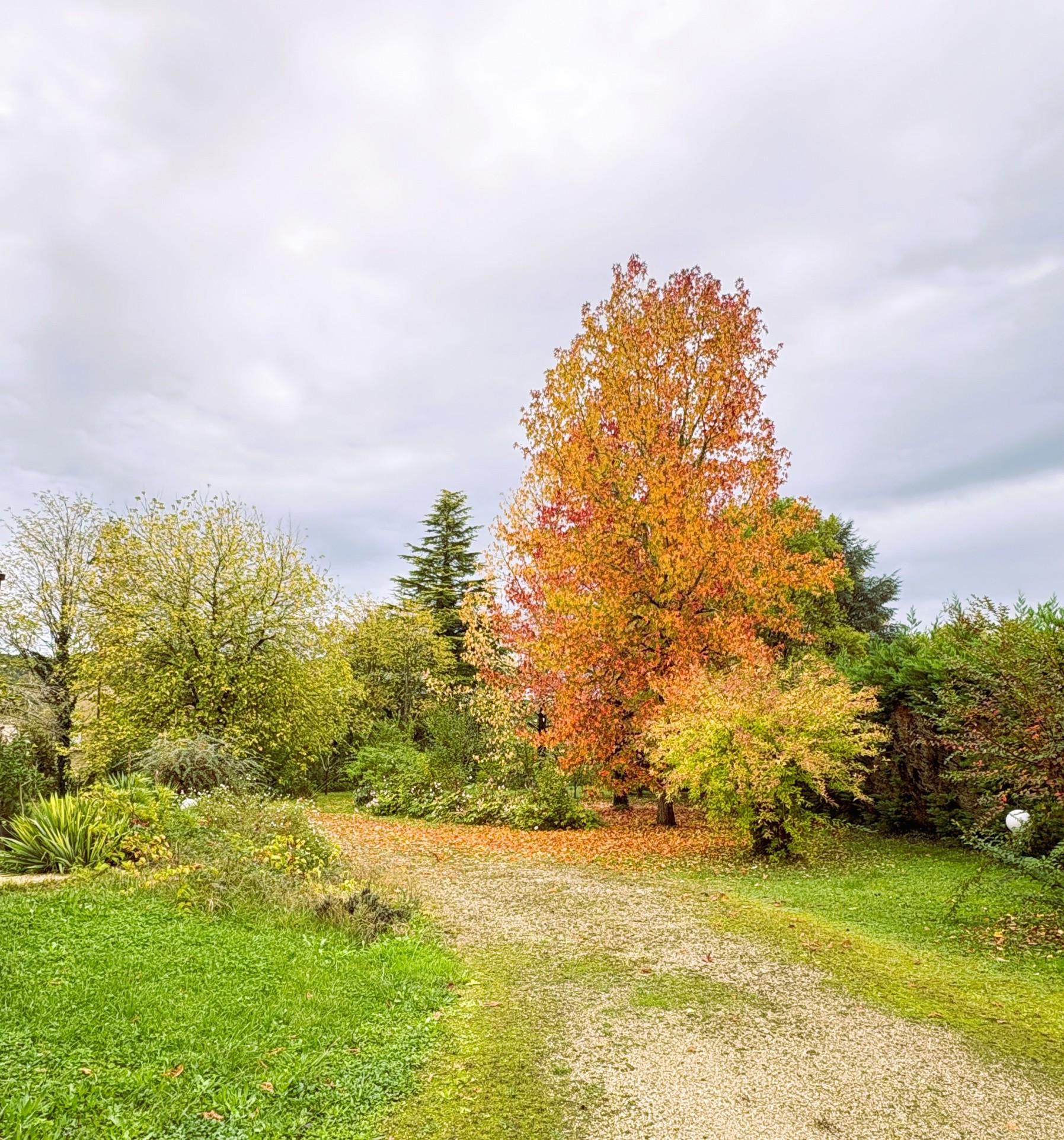 Vente Maison à Saint-Cyprien 6 pièces