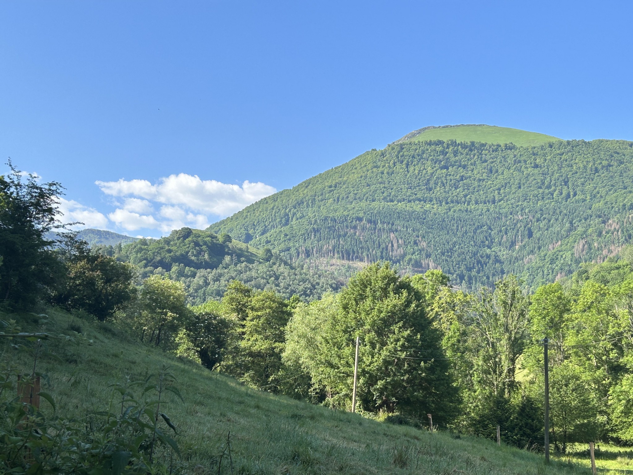 Vente Maison à Bagnères-de-Bigorre 7 pièces