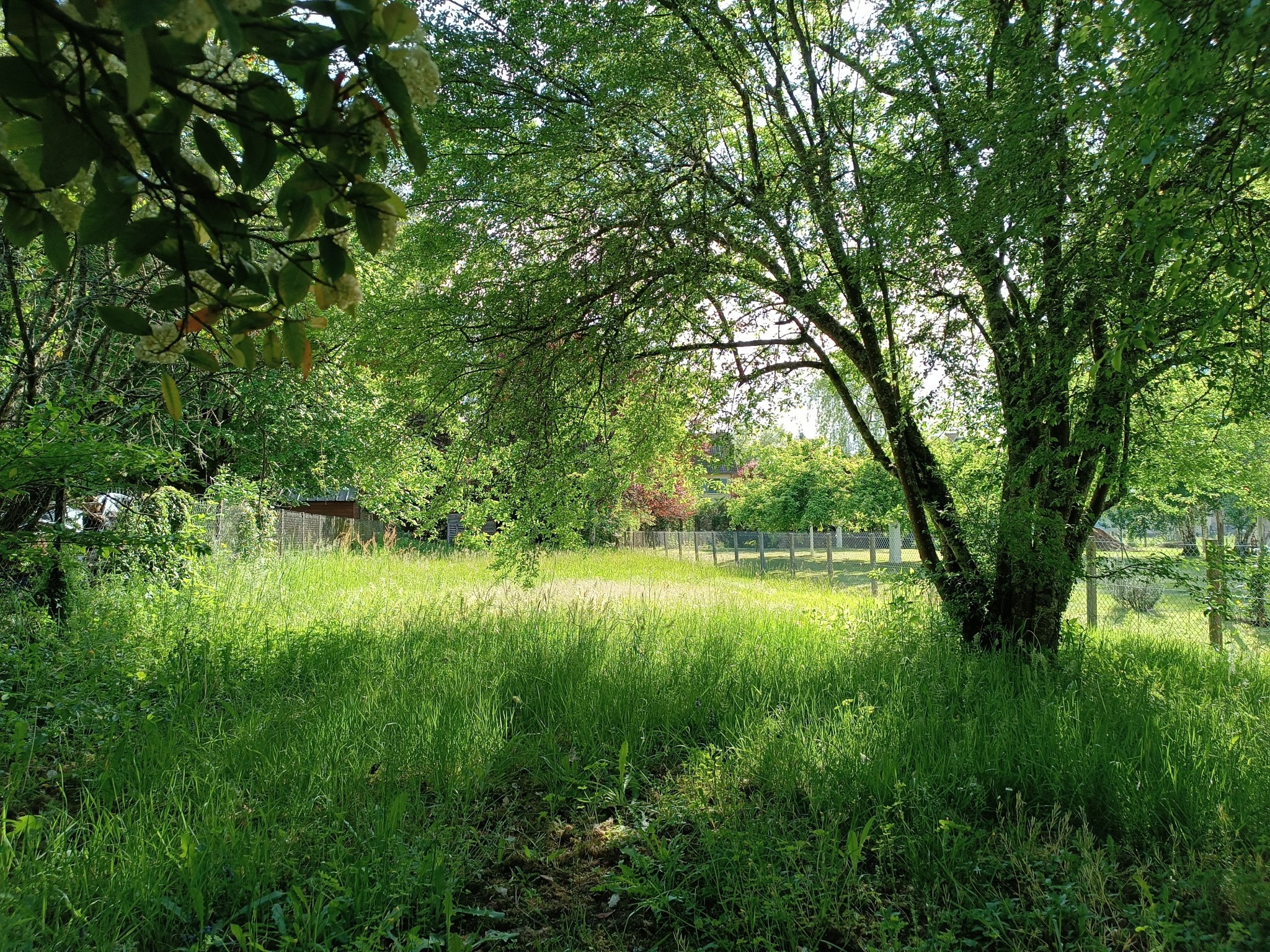 Vente Terrain à Mansac 0 pièce