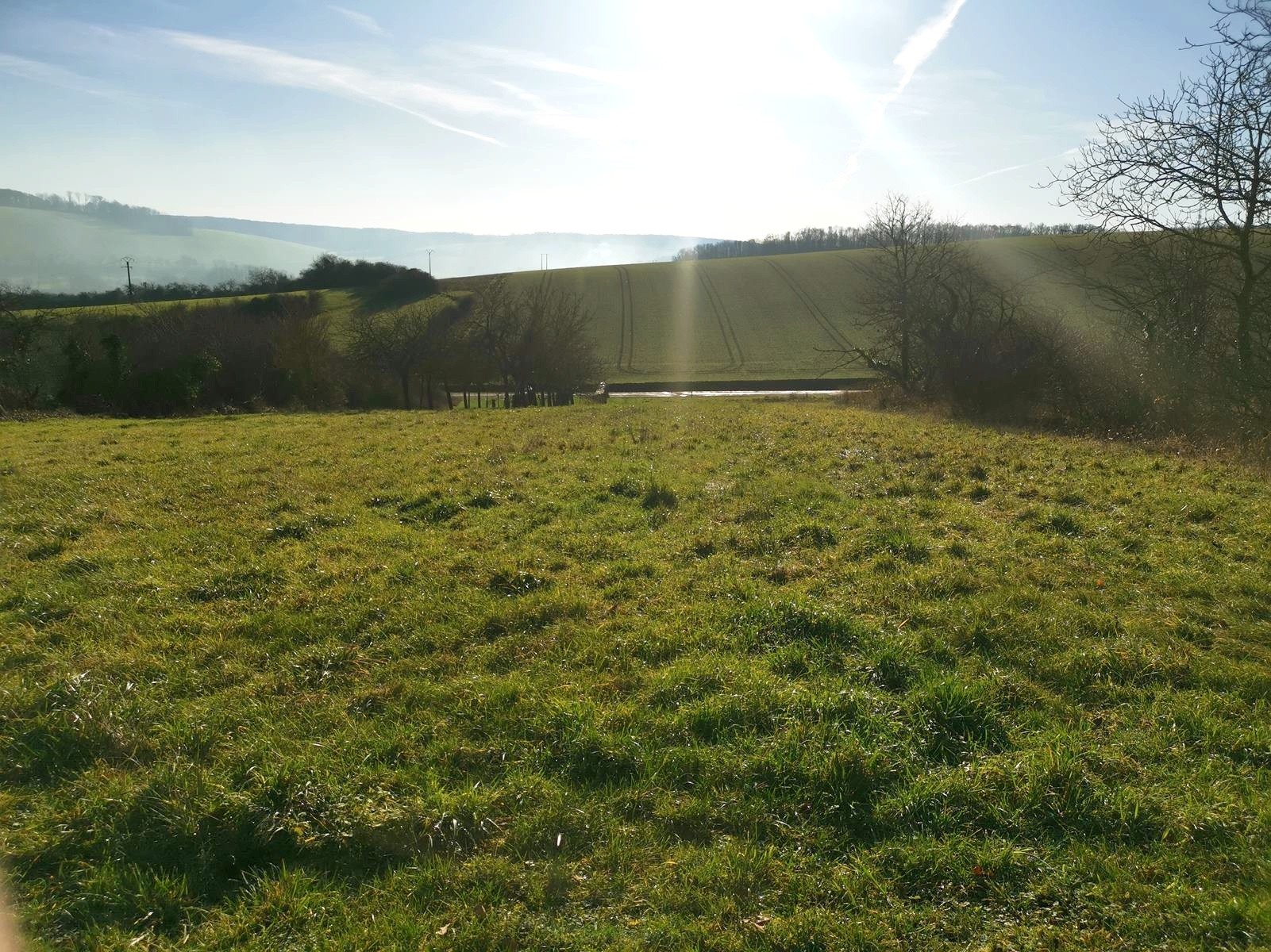 Vente Terrain à Saint-Mards-en-Othe 0 pièce