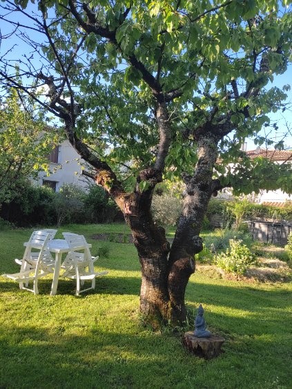 Vente Maison à Quillan 6 pièces