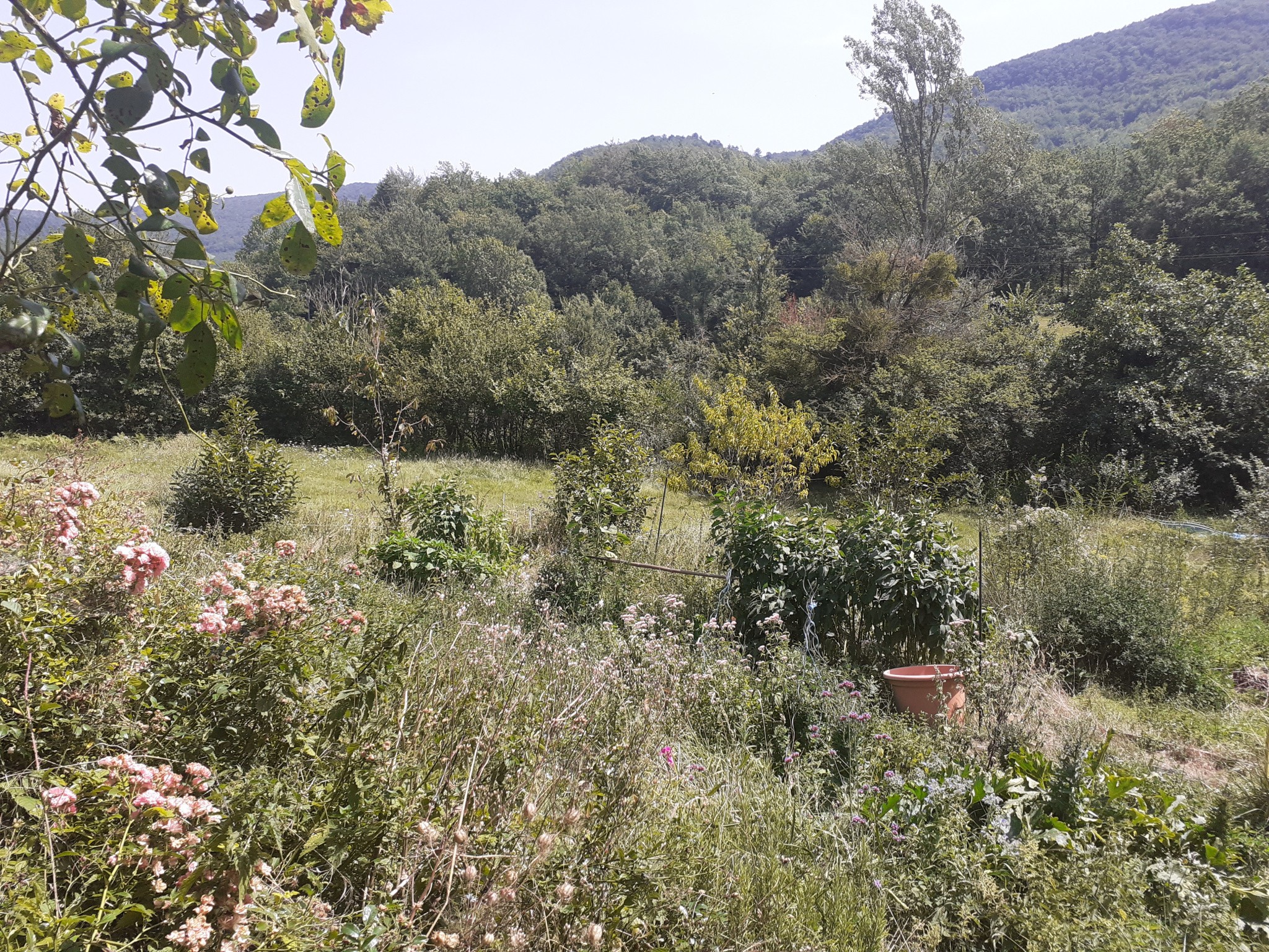 Vente Maison à Rennes-les-Bains 10 pièces