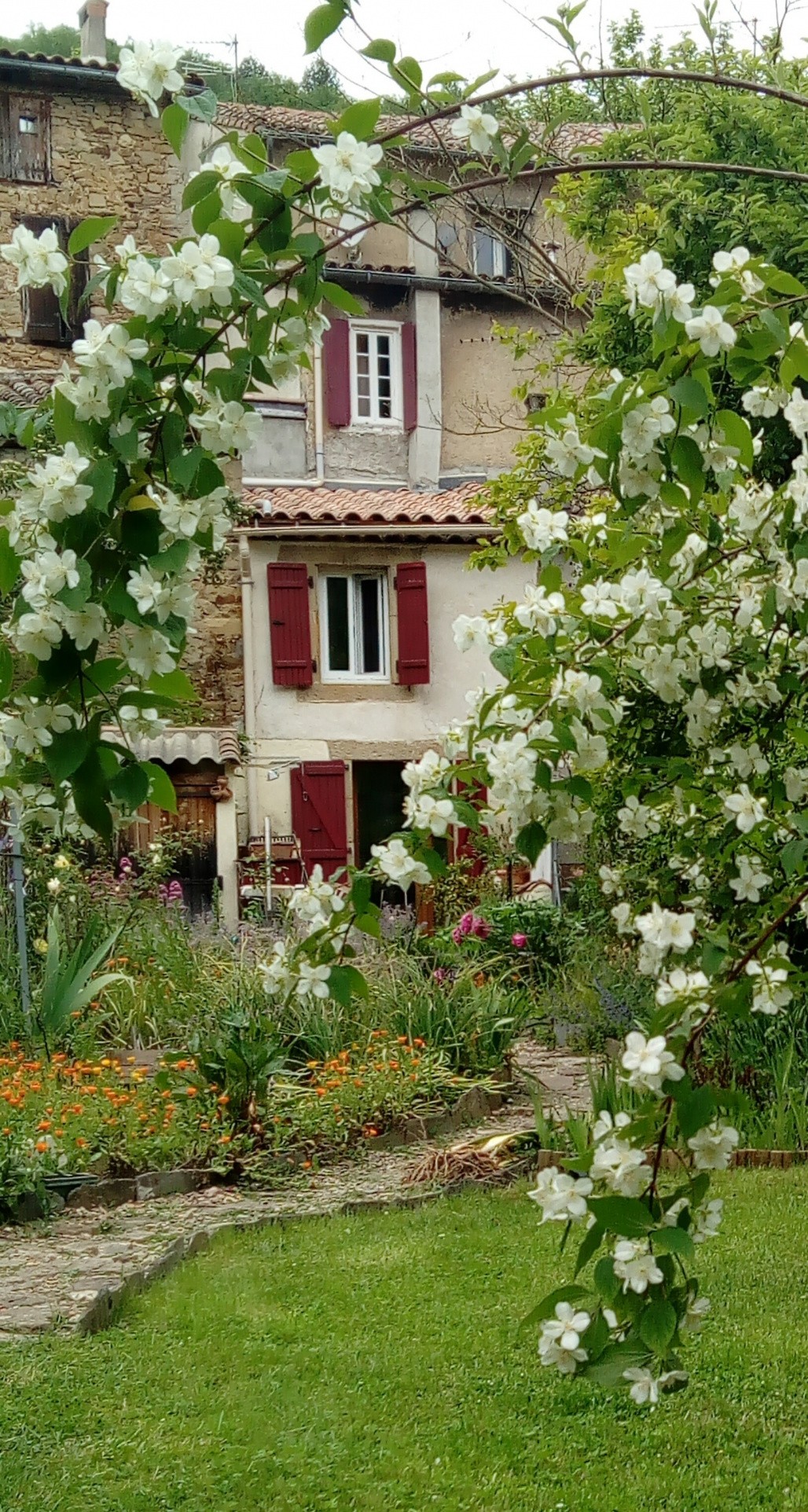 Vente Maison à Rennes-les-Bains 15 pièces