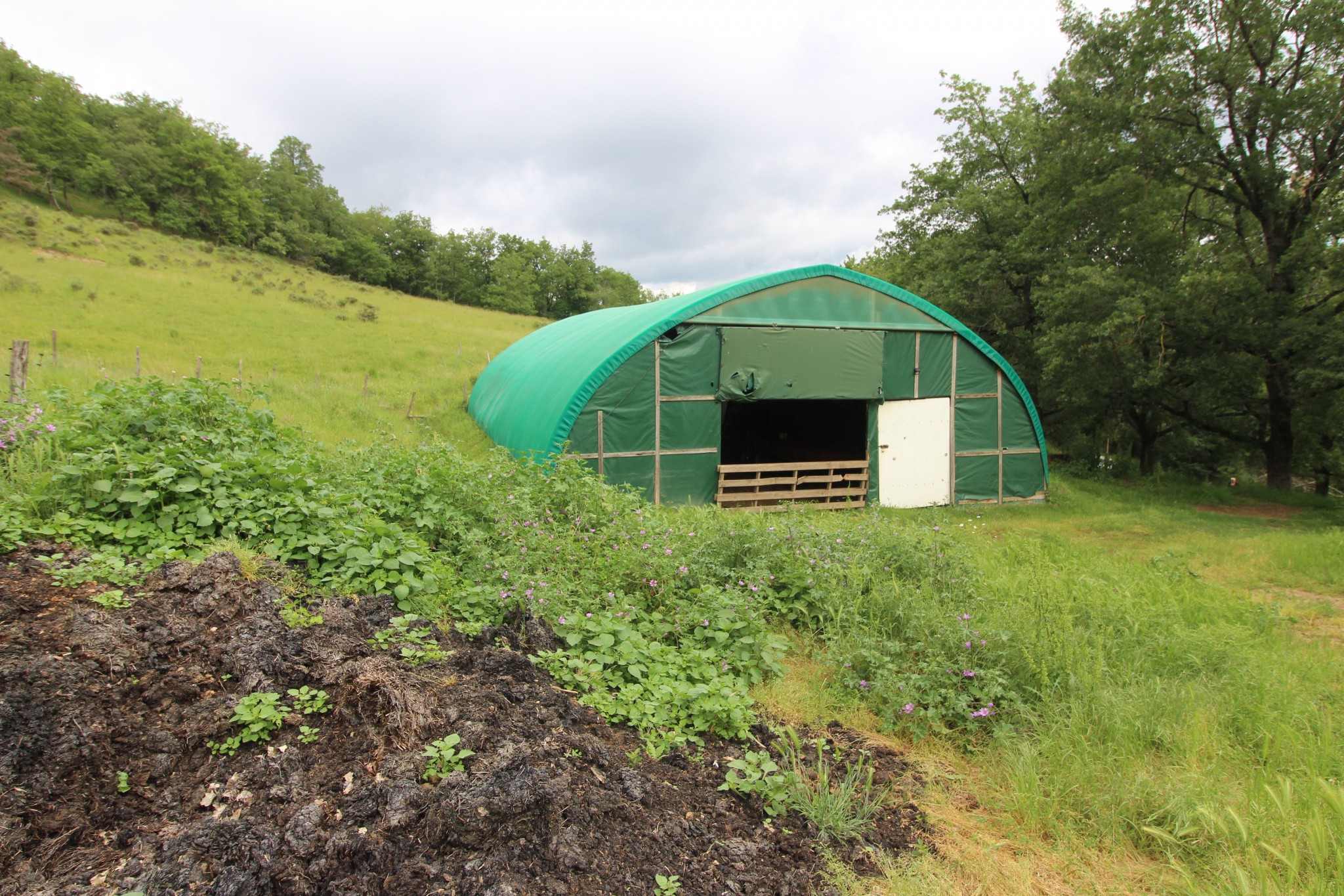 Vente Maison à Saint-Hilaire 12 pièces