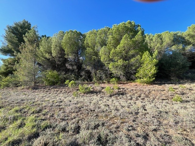 Vente Terrain à Limoux 0 pièce