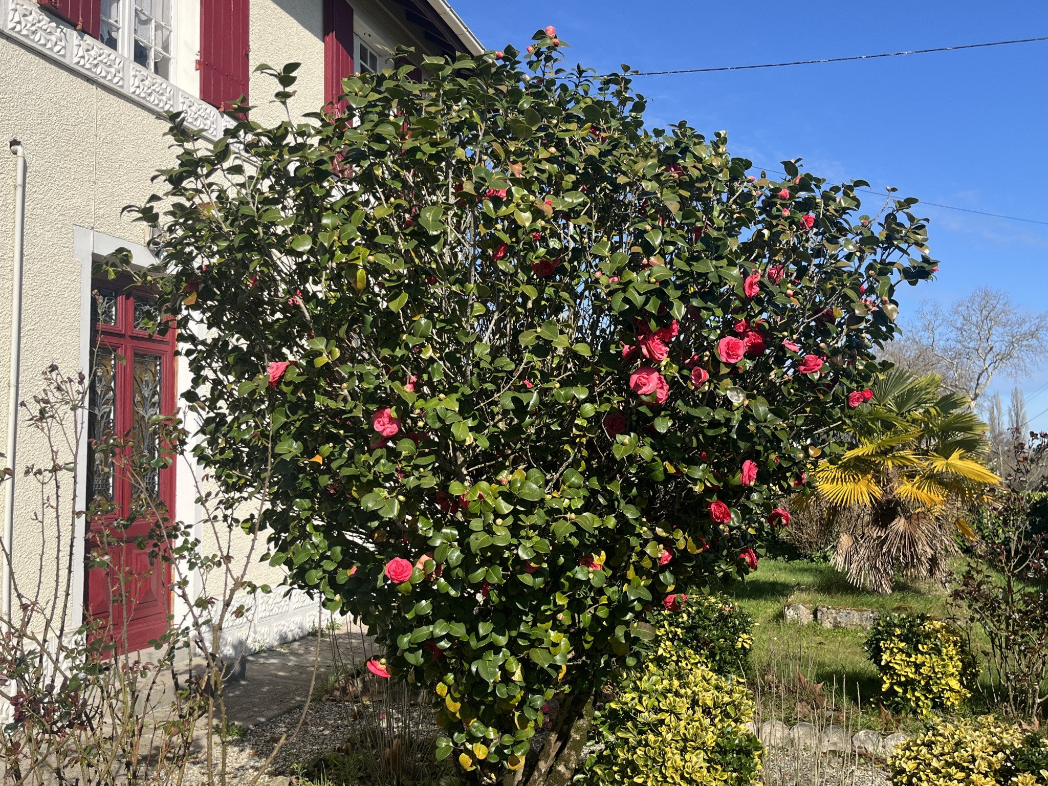 Vente Maison à Bazas 6 pièces