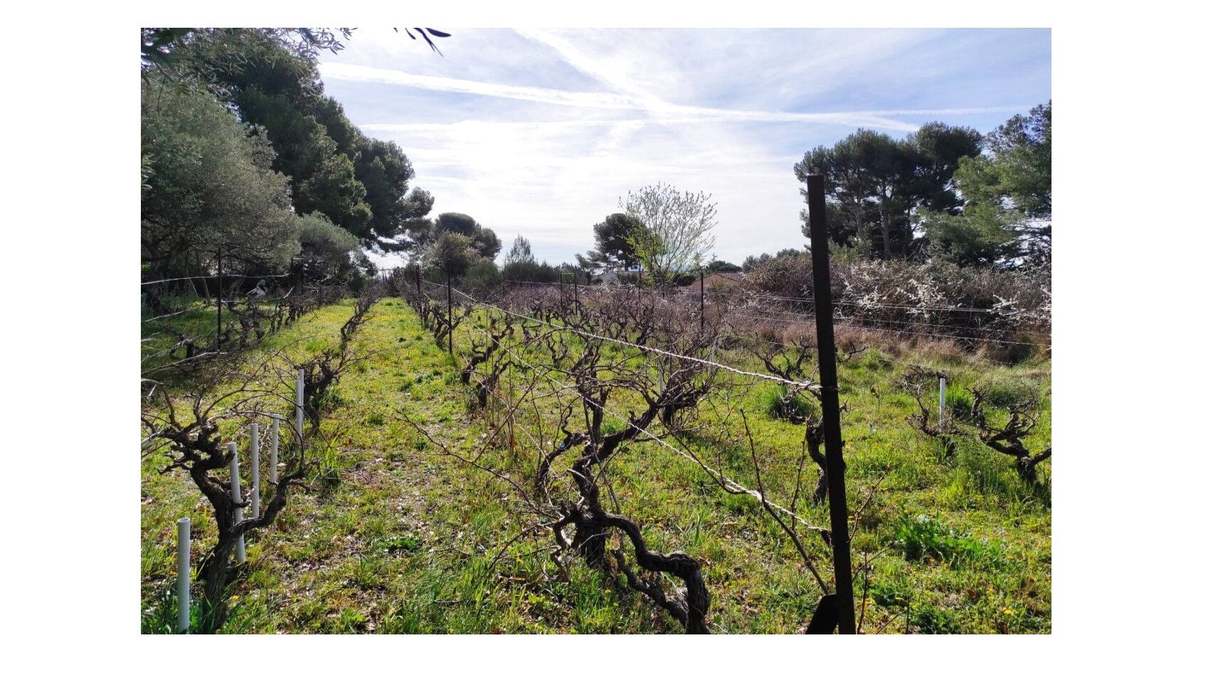 Vente Maison à Aix-en-Provence 7 pièces