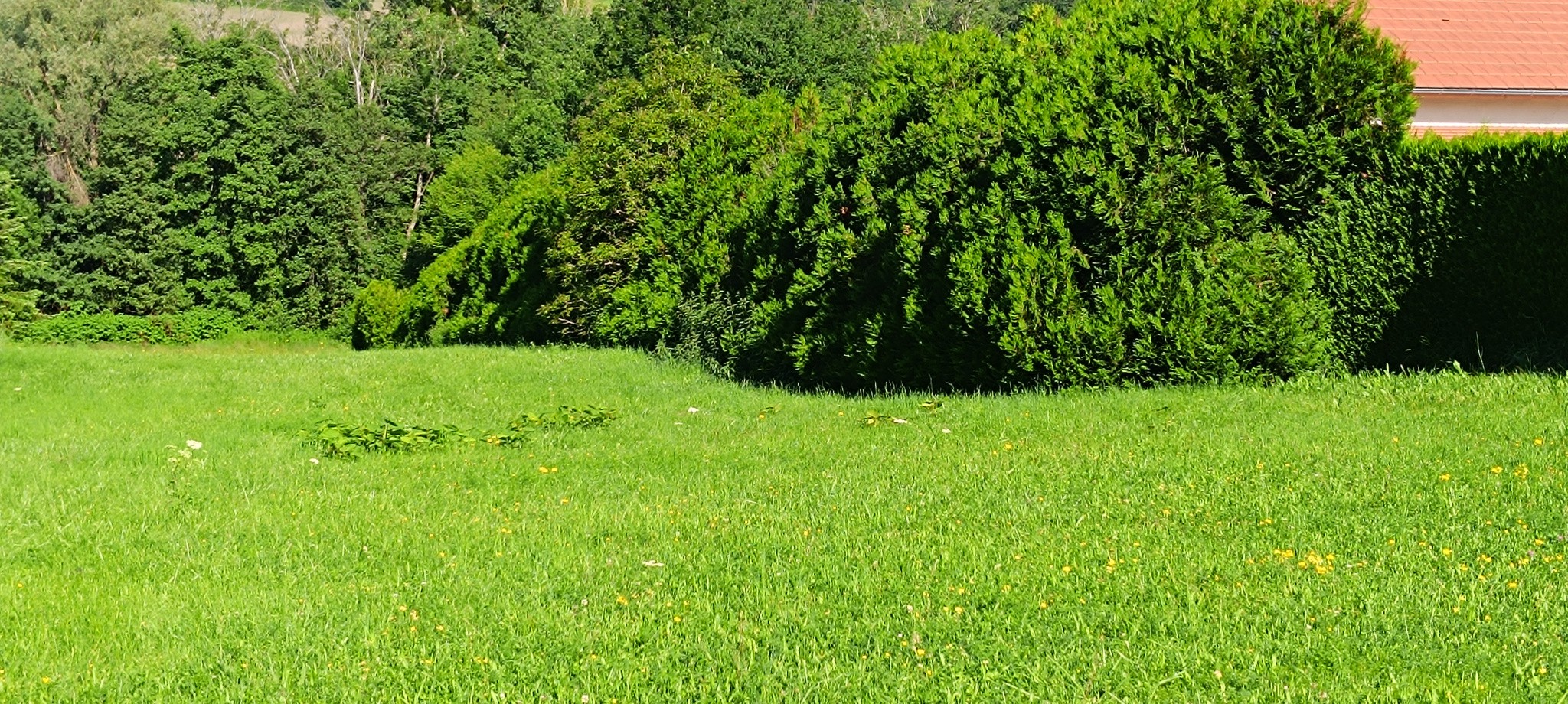 Vente Terrain à Cusset 0 pièce