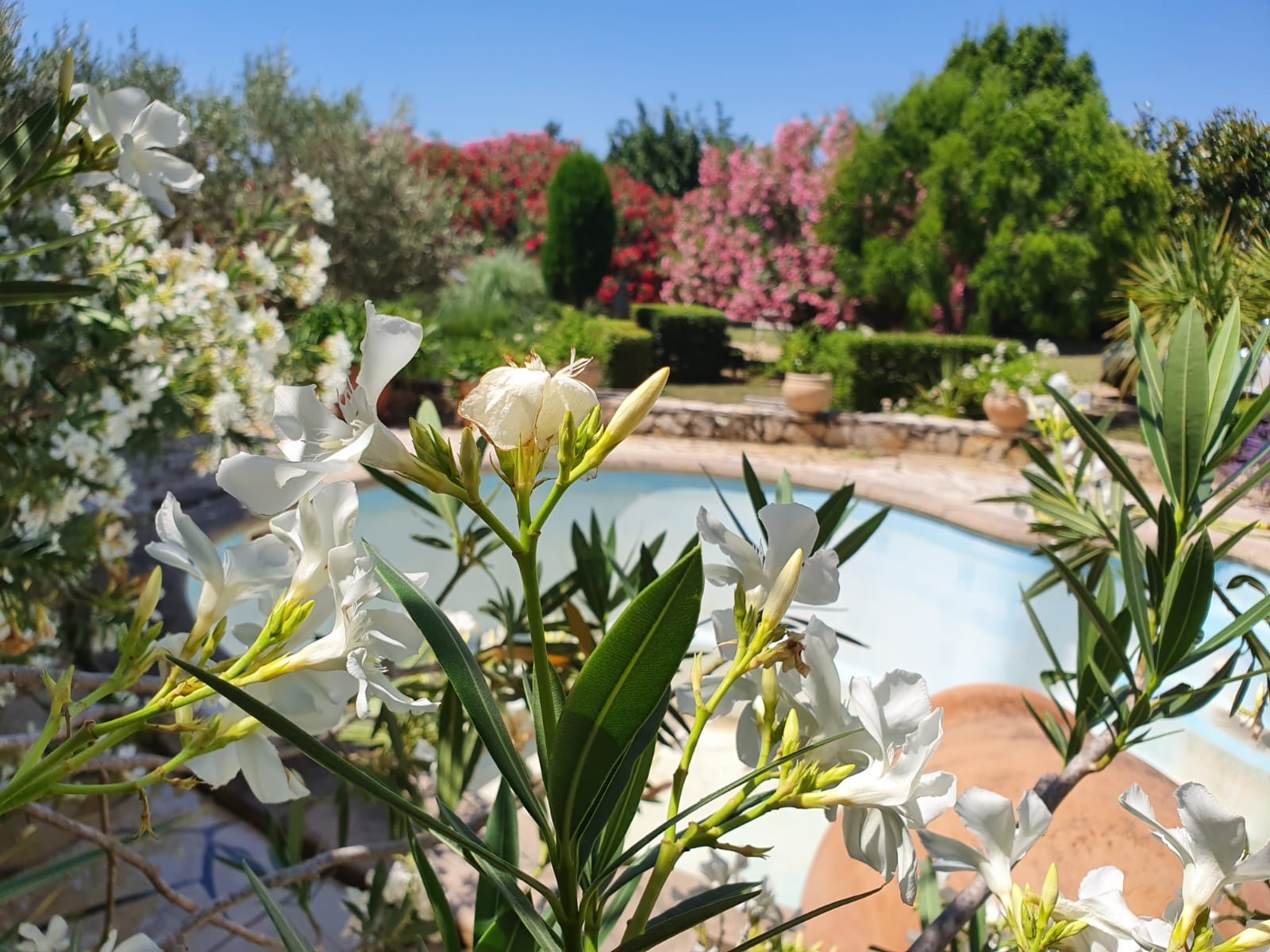 Vente Maison à Arles 6 pièces