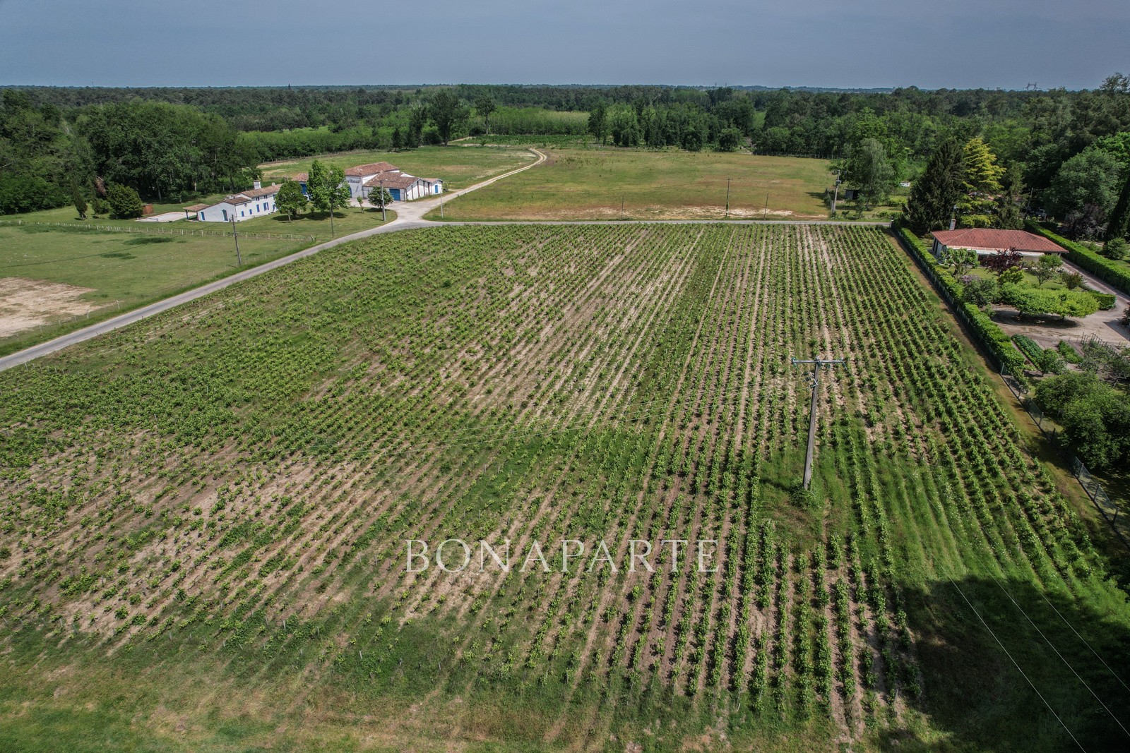 Vente Maison à Saint-Sauveur 15 pièces