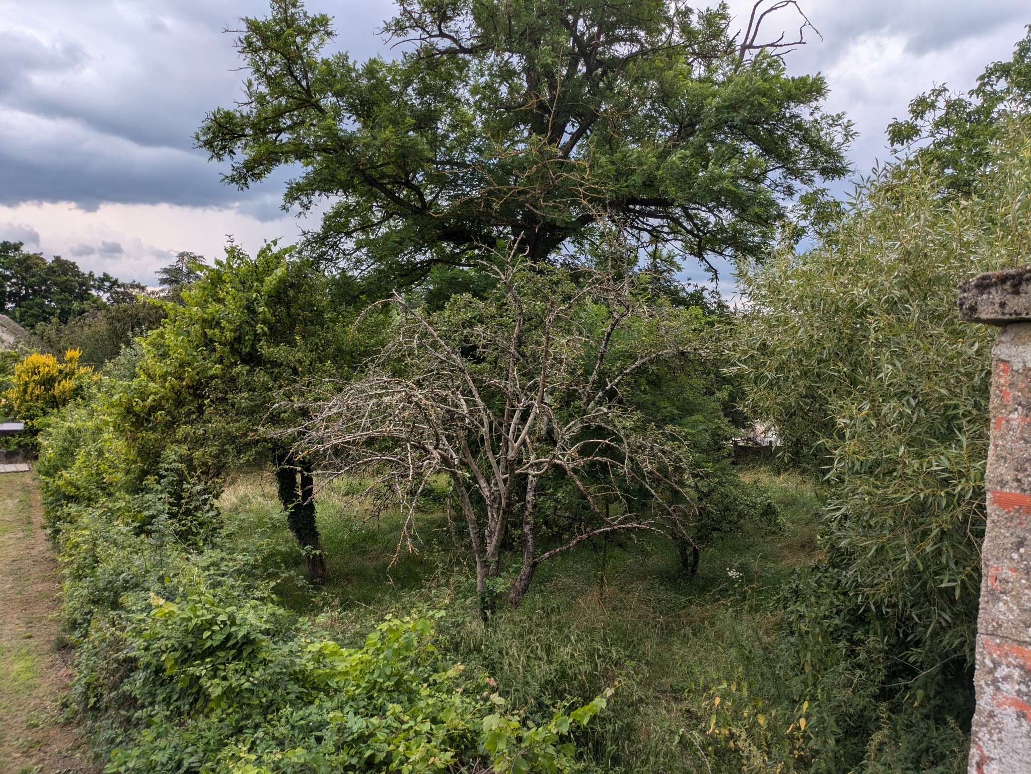 Vente Terrain à Challuy 0 pièce