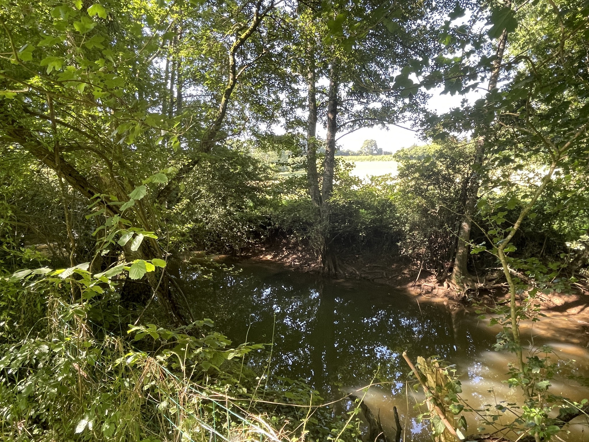 Vente Maison à Prémery 12 pièces