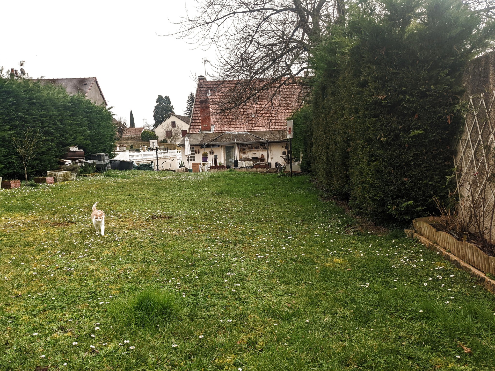 Viager Maison à Nevers 5 pièces